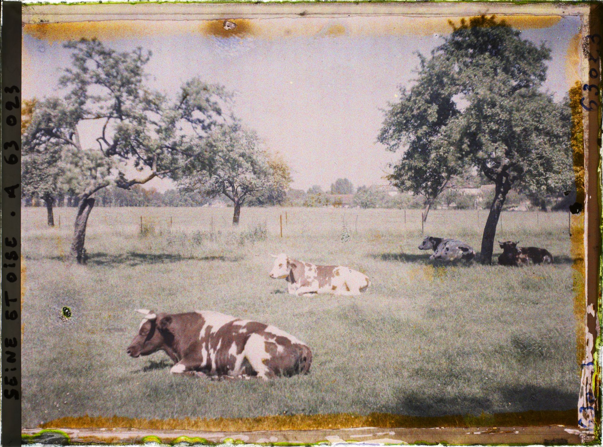 Image représentant Ile de France, Magny-en-Vexin, Pâturages