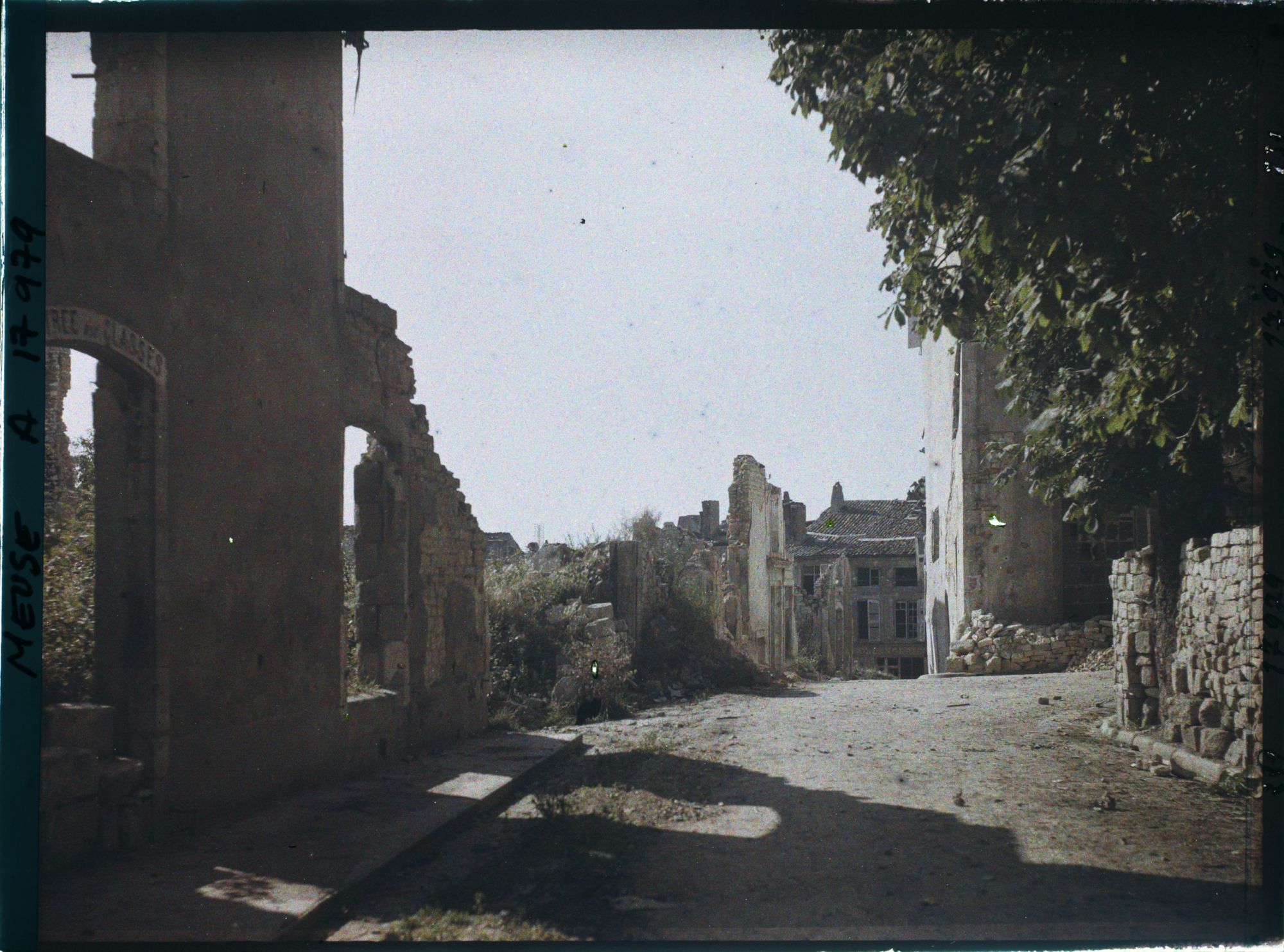 Image représentant France, Verdun, Un Coin de la Place de la Madeleine