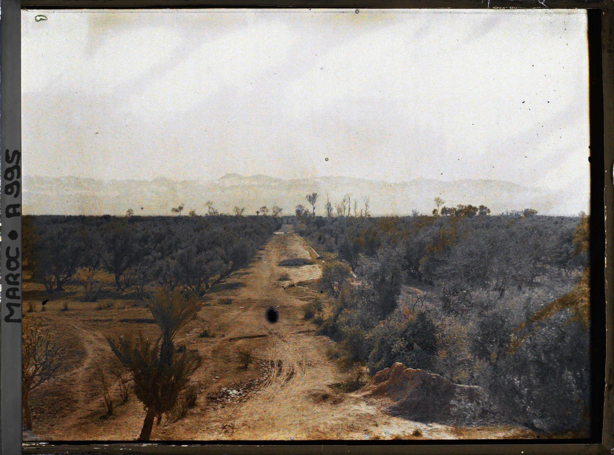 Image représentant Vue générale des jardins du Darl el Maghzen