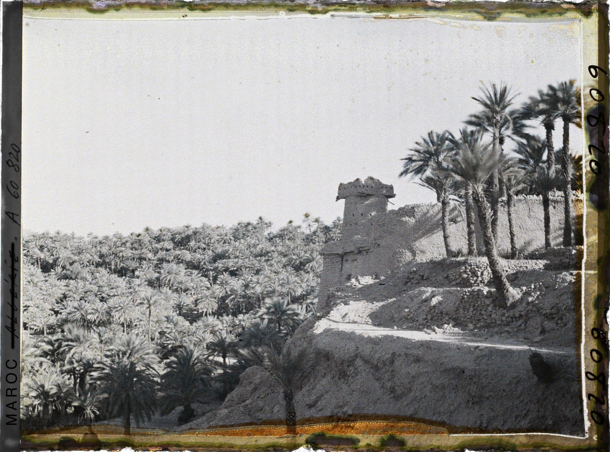 Image représentant Palmeraie et tour de garde