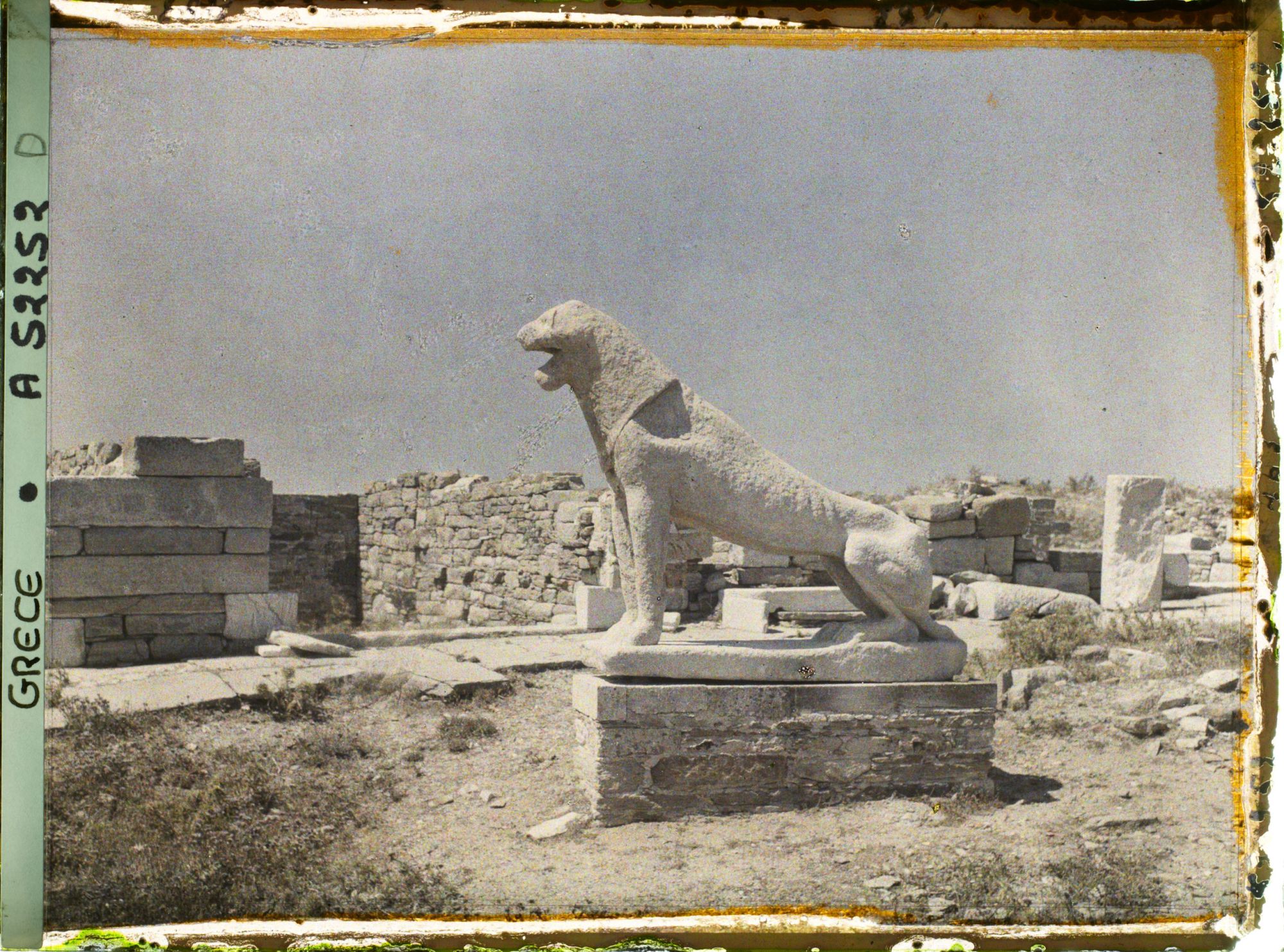 Image représentant Une lionne