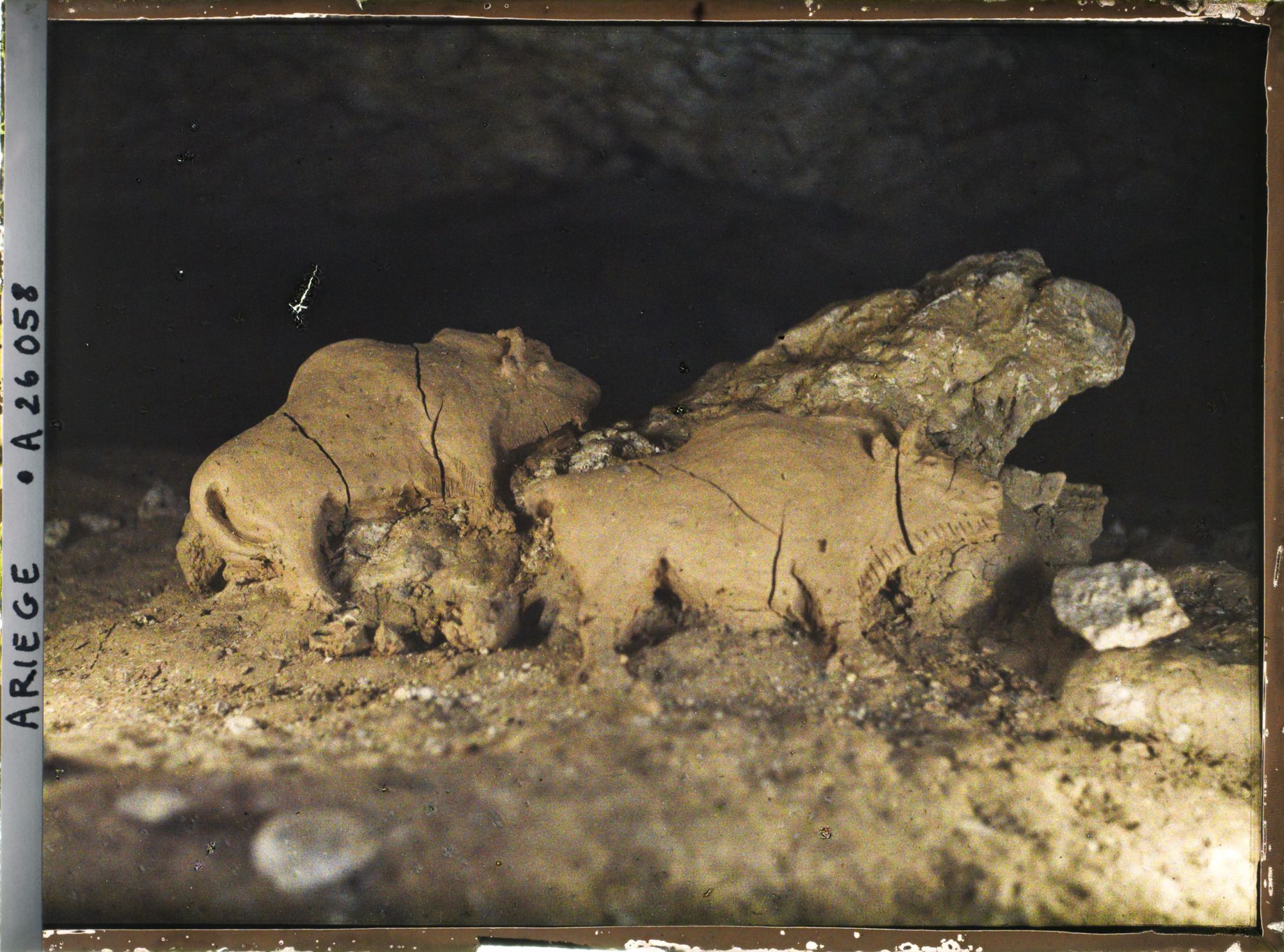 Image représentant Les bisons d'argile