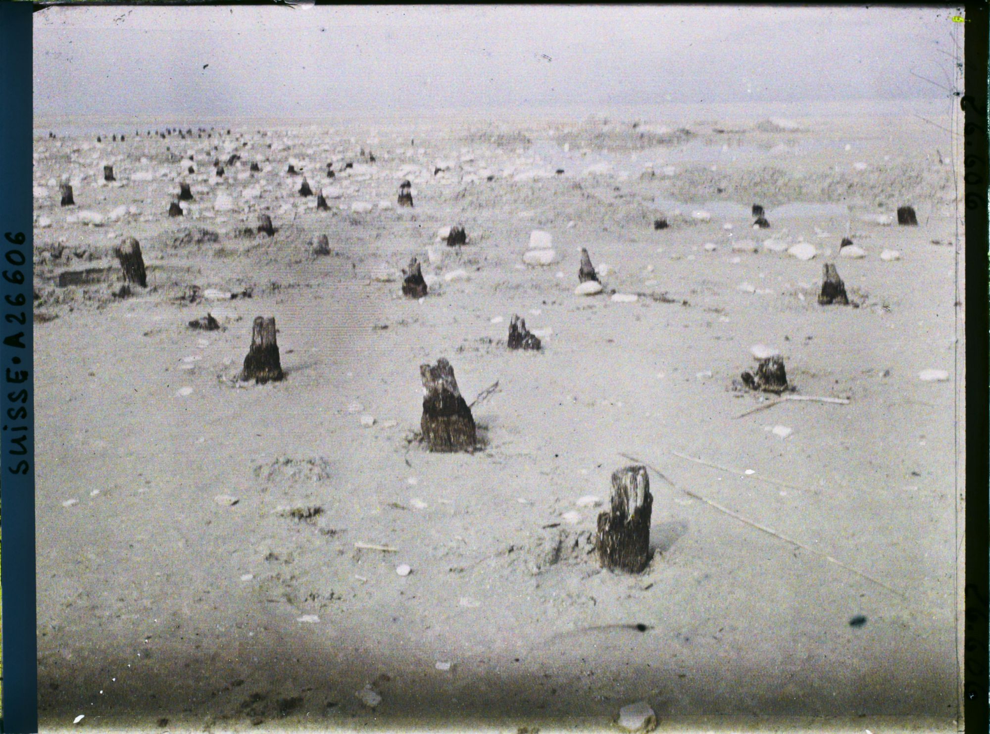 Image représentant Site palafittique préhistorique des Alpes, pieux en bois visibles lors de la baisse des eaux après la grande sécheresse de 1921 sur le lac de Neuchâtel