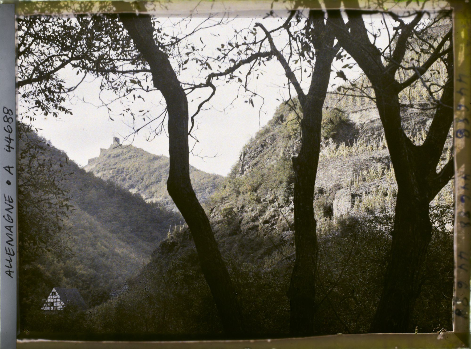 Image représentant Allemagne, Cochem (Moselle), Vallée de l'Eder le soir et Chau de Winnebourg, 1ère résidence des Metternich