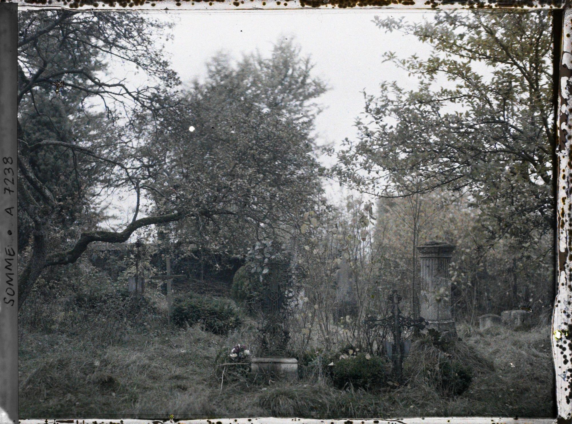 Image représentant Vieux cimetière