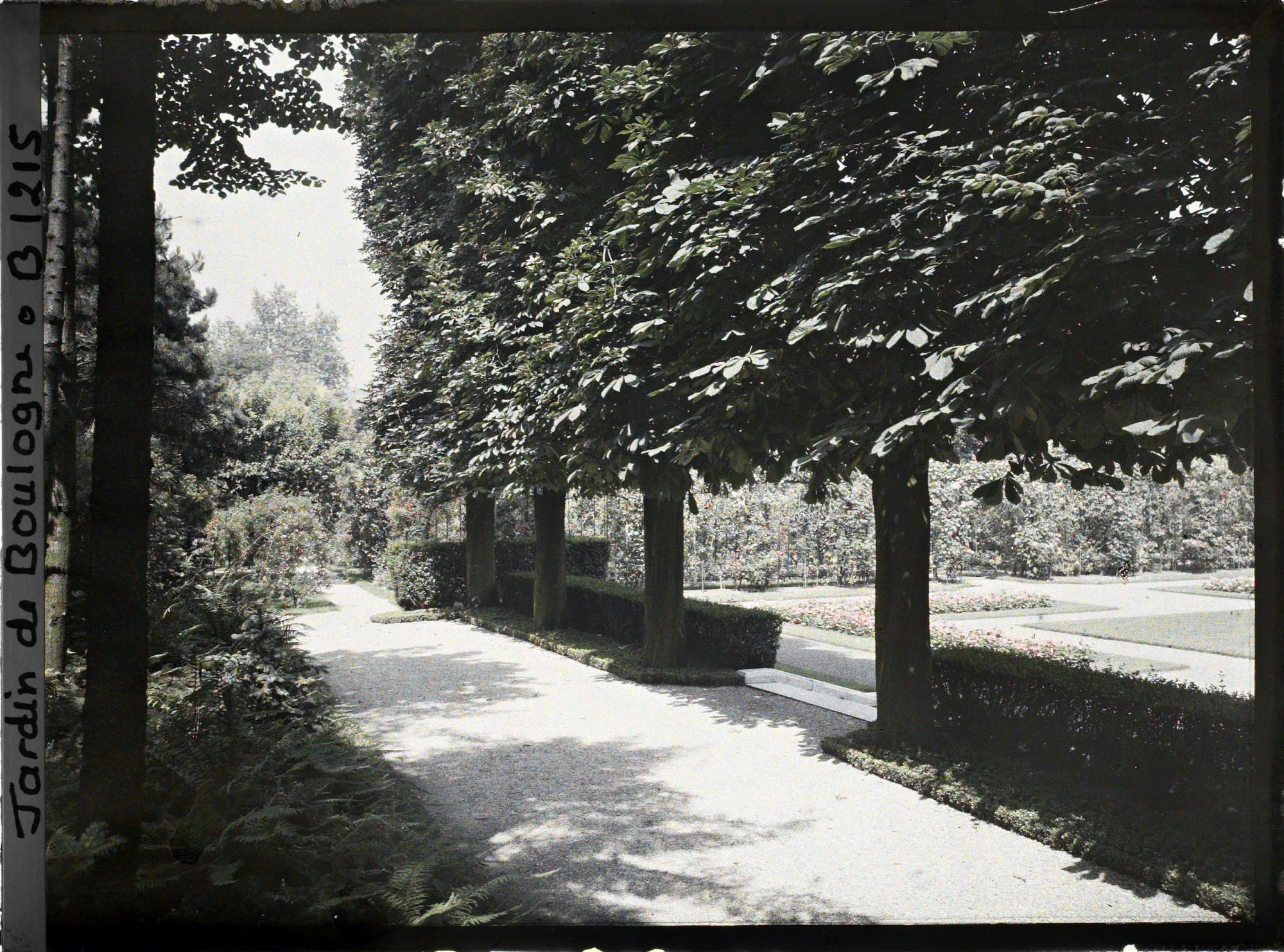 Image représentant Le jardin français vue de sa terrasse ombragée, côté sud