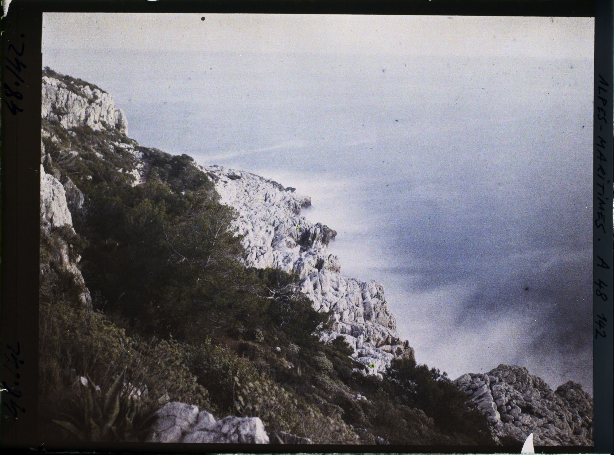 Image représentant Végétation sur une partie de rivage abrupt et rocheux du cap Martin, vu en direction du sud-est