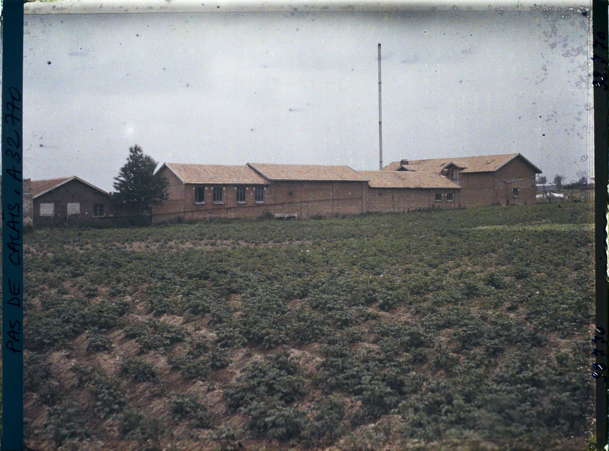 Image représentant France, Achiet, Une laiterie et un Champ de pommes de terres