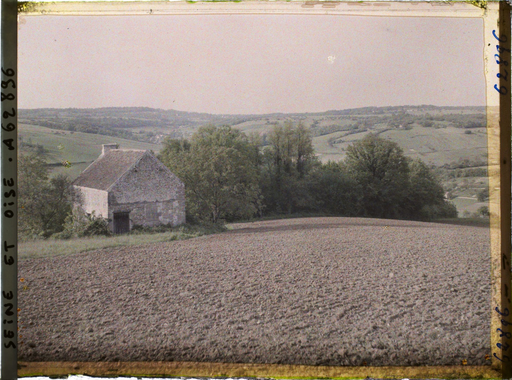 Image représentant Ile de France, Vetheuil, Champ ensemencé de betteraves