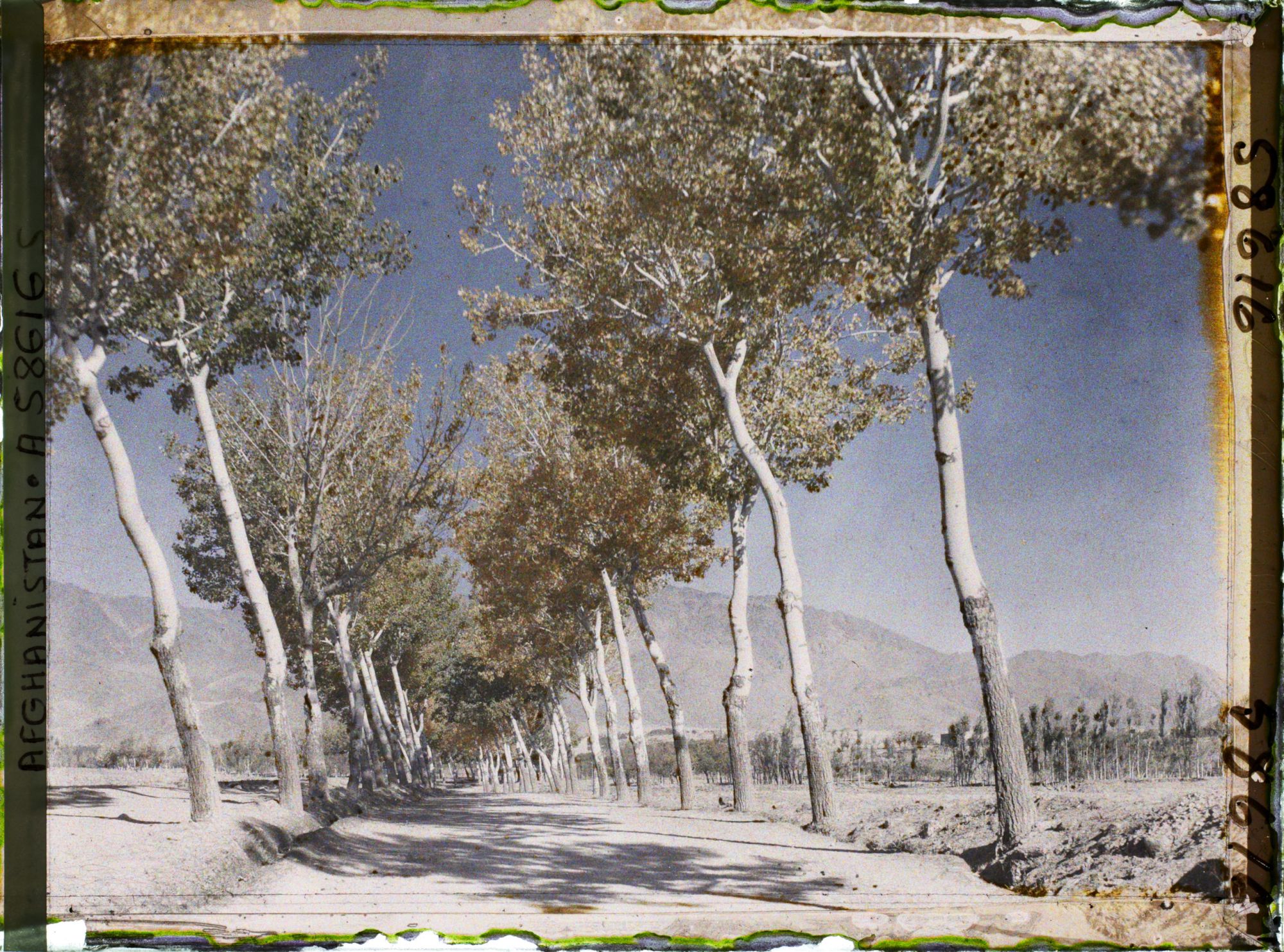 Image représentant Afghanistan, Kaboul, La route de Paghman Kaboul, autre aspect