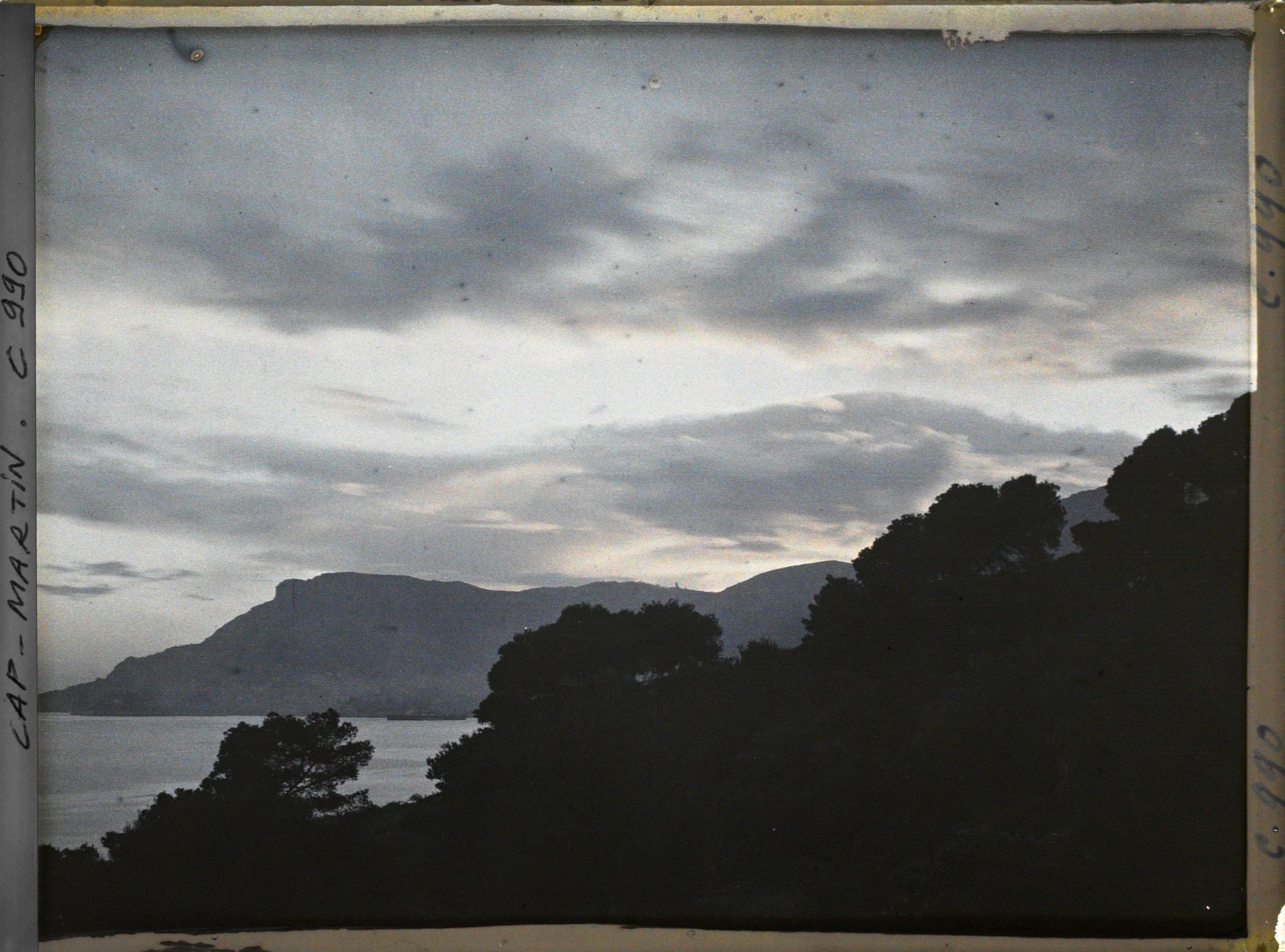 Image représentant Ligne d'arbres vue à contre-jour, en direction de Monaco, non loin de la villa Kahn dite villa Zamir