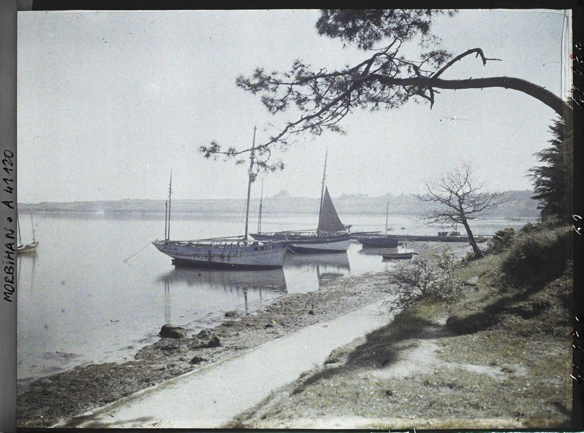 Image représentant Des bateaux amarrés et un pin parasol