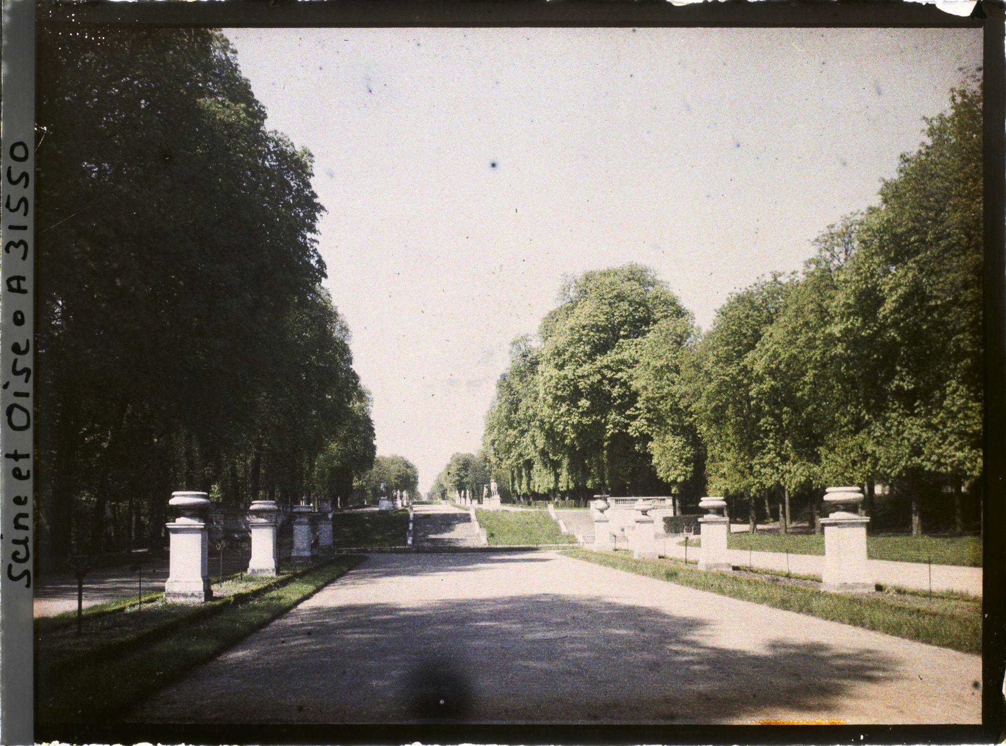 Image représentant L'allée des Orangers dans le petit parc
