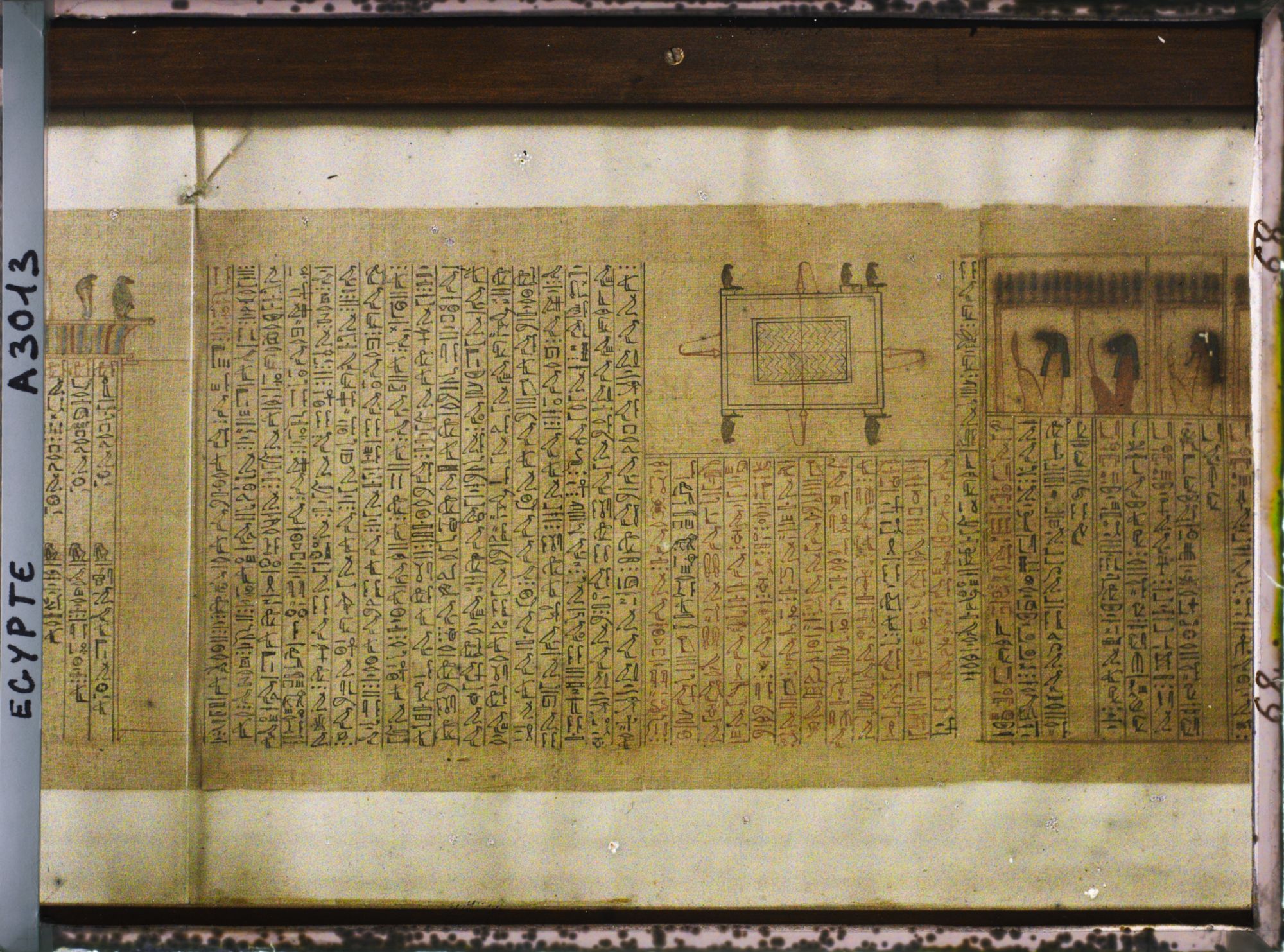 Image représentant Papyrus du Livre des morts dans une vitrine du musée égyptien