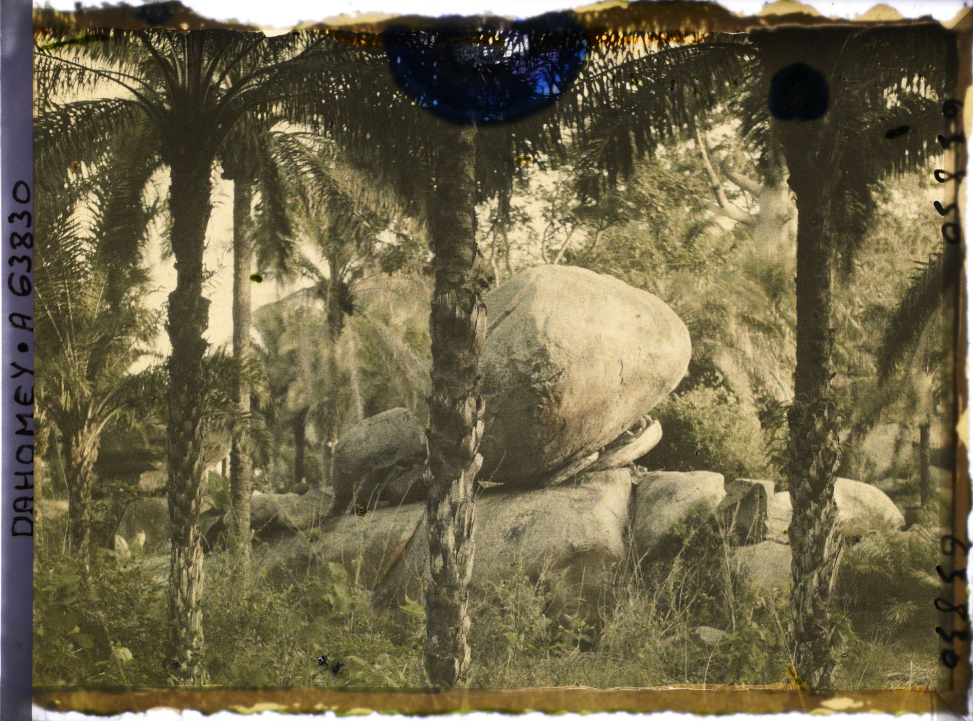 Image représentant Paysage montagneux d'éboulis rocheux