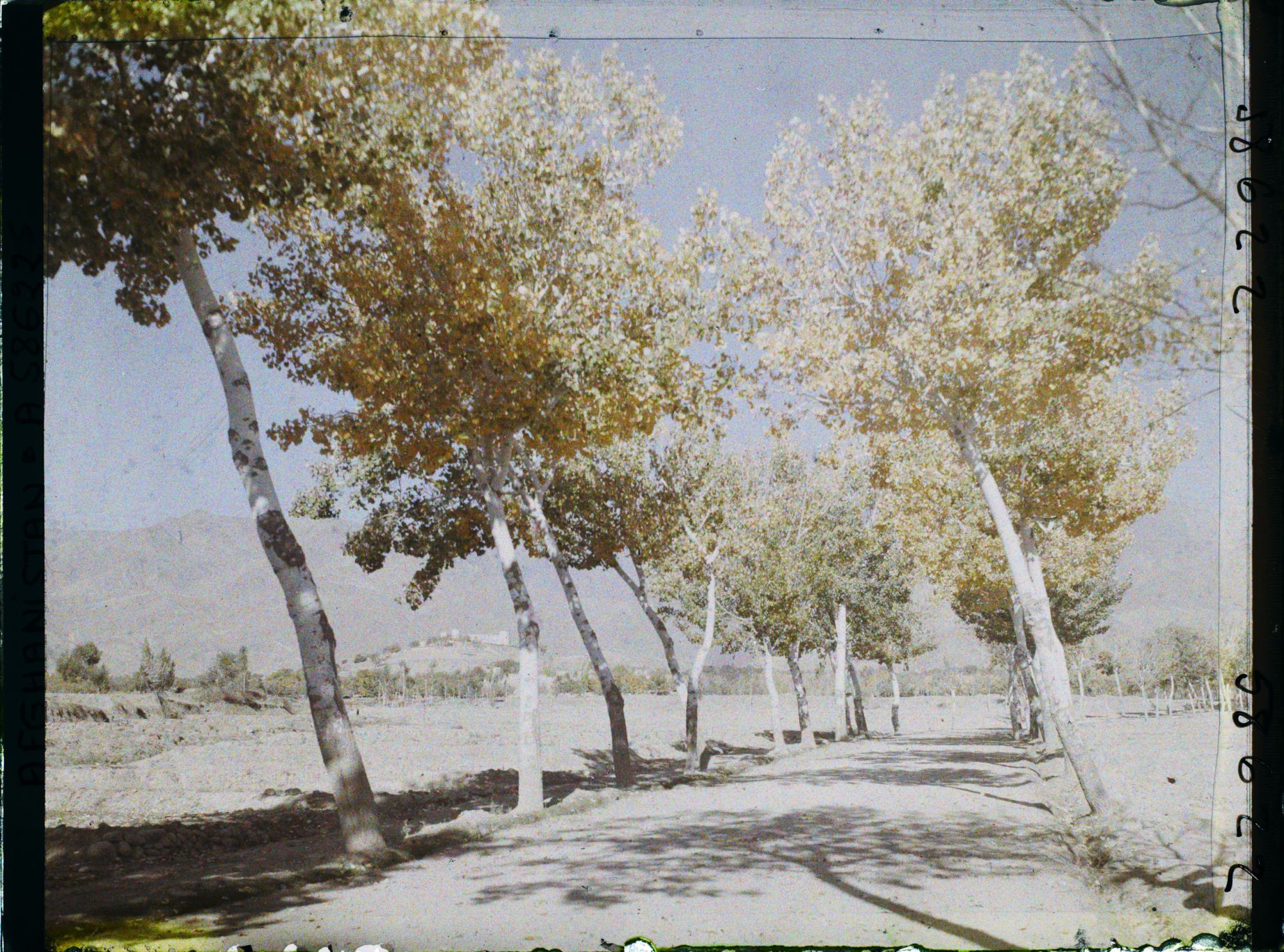 Image représentant Afghanistan, Kaboul, La route de Paghman Kaboul, autre aspect