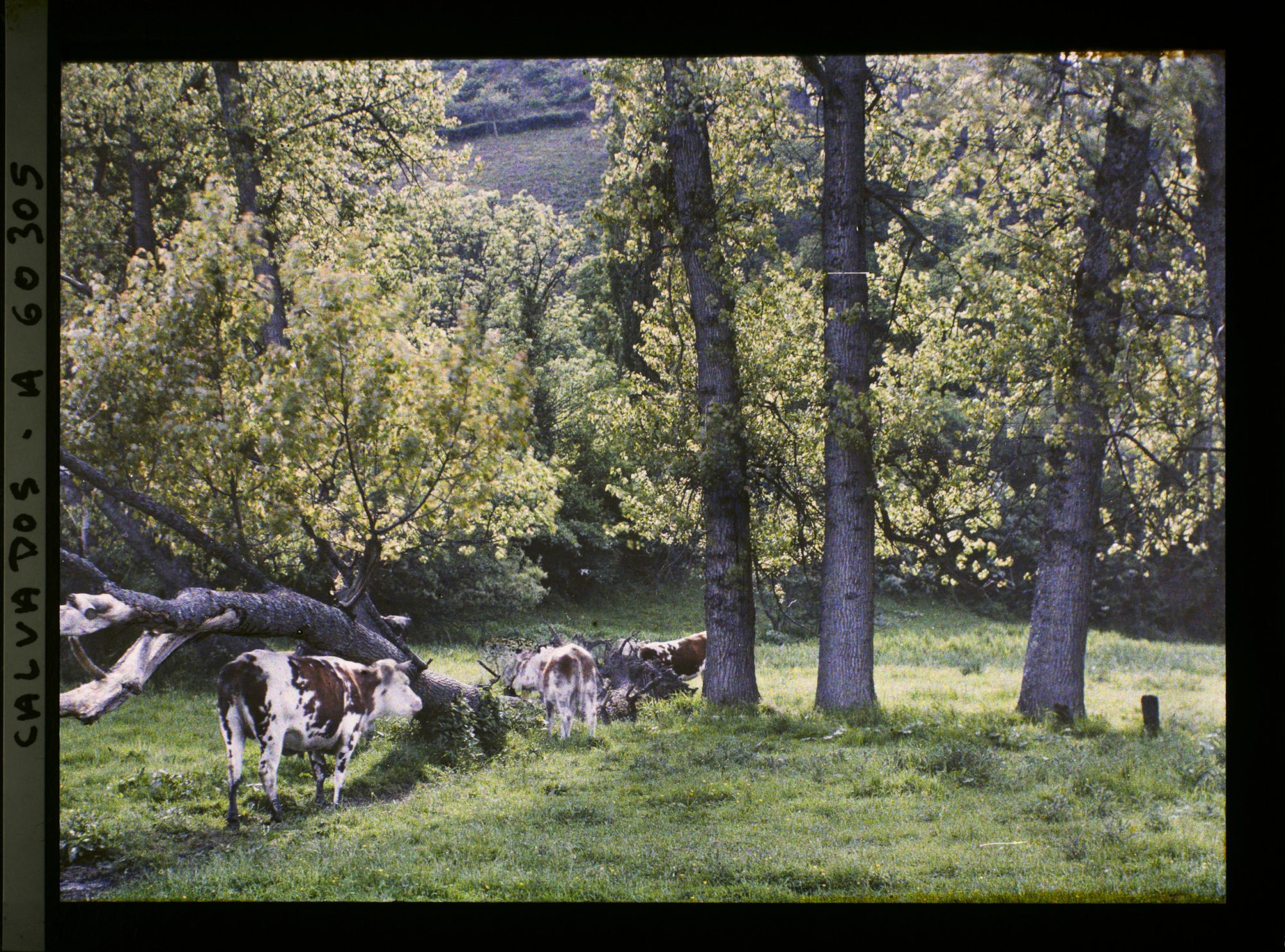 Image représentant Paysage