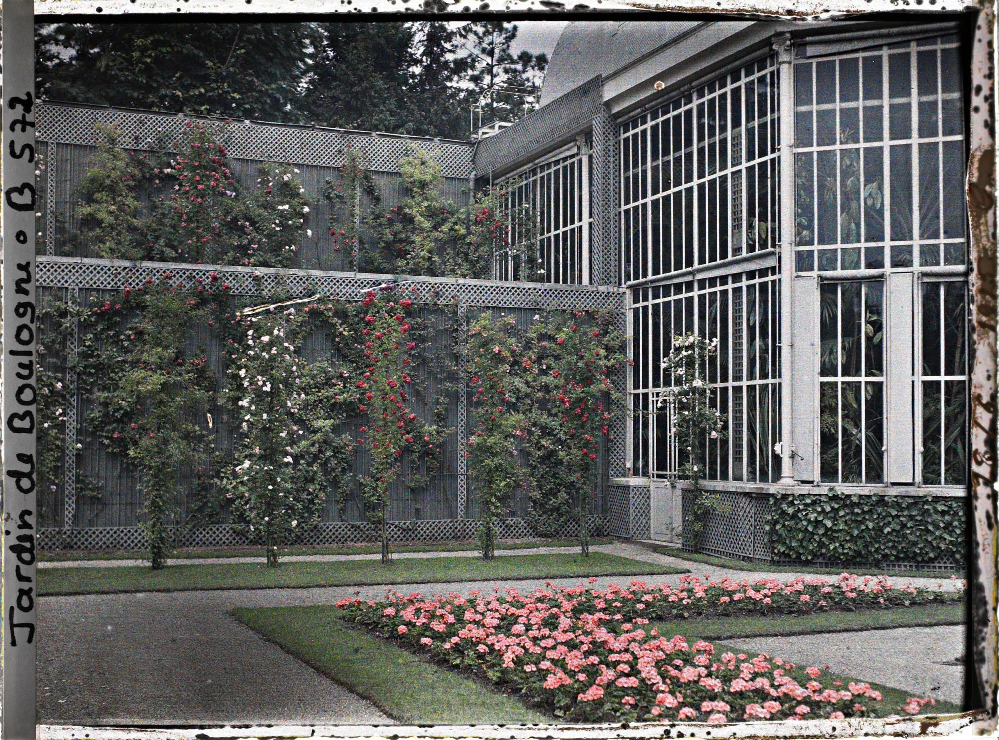 Image représentant Parterre nord-ouest du jardin français, situé près de la serre et du verger-roseraie