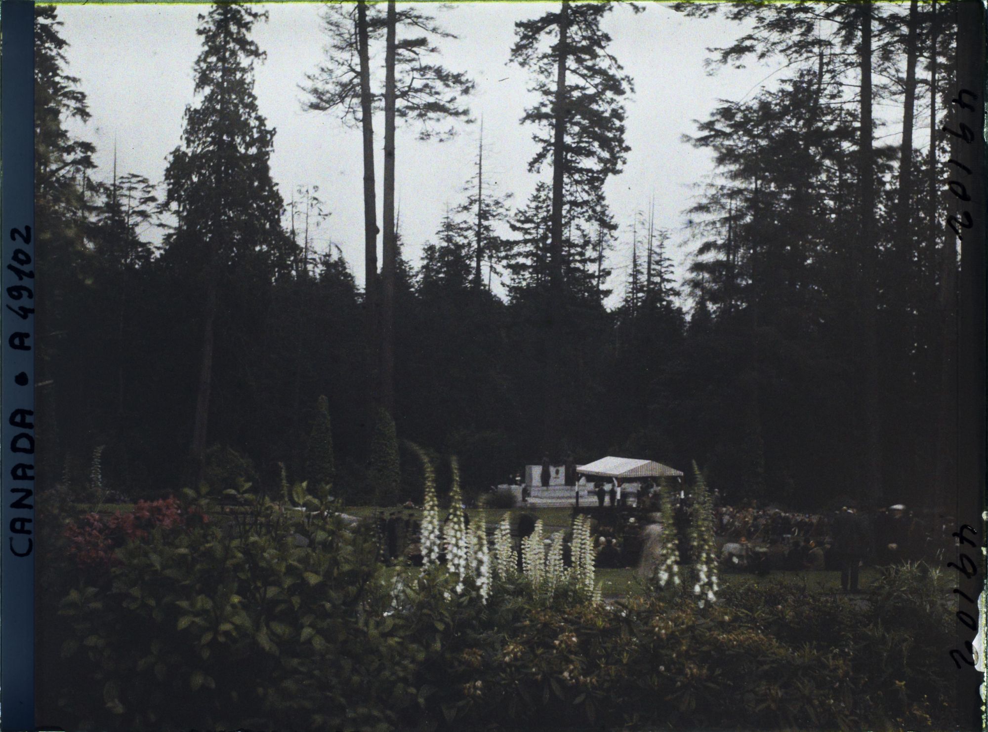 Image représentant Canada, Vancouver, Un Coin du Parc