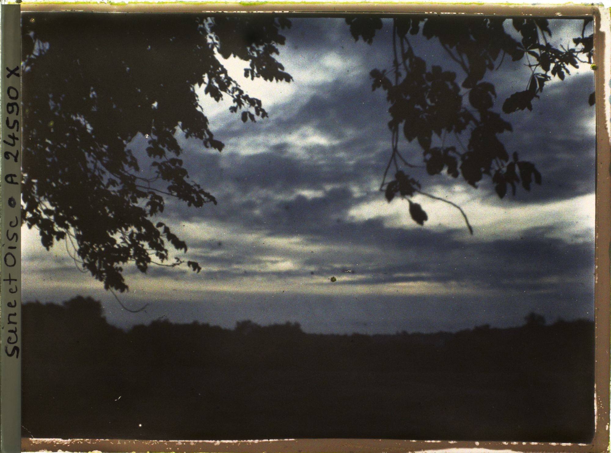 Image représentant Lever de soleil dans le parc