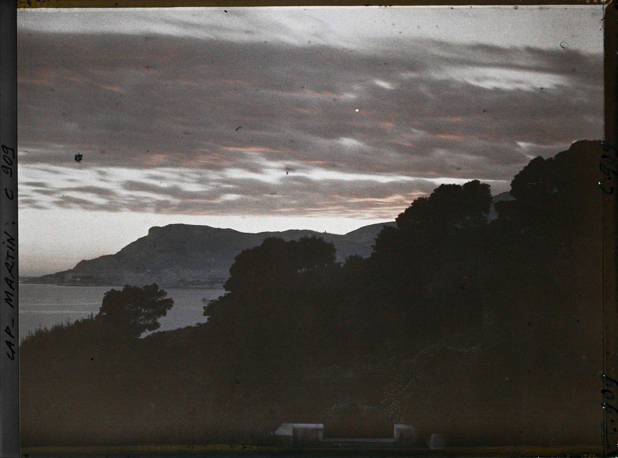 Image représentant Ligne arborée près de la villa Kahn, dite villa Zamir, se découpant à contre-jour vers Monaco