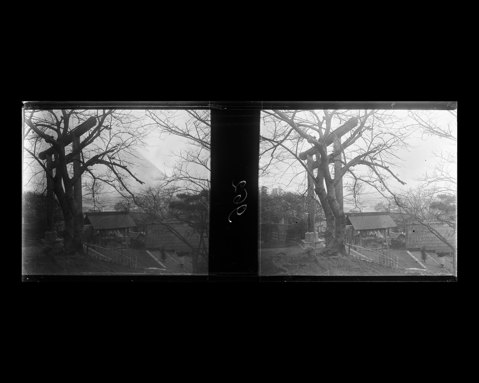 Image représentant Torii dans un sanctuaire dominant la ville