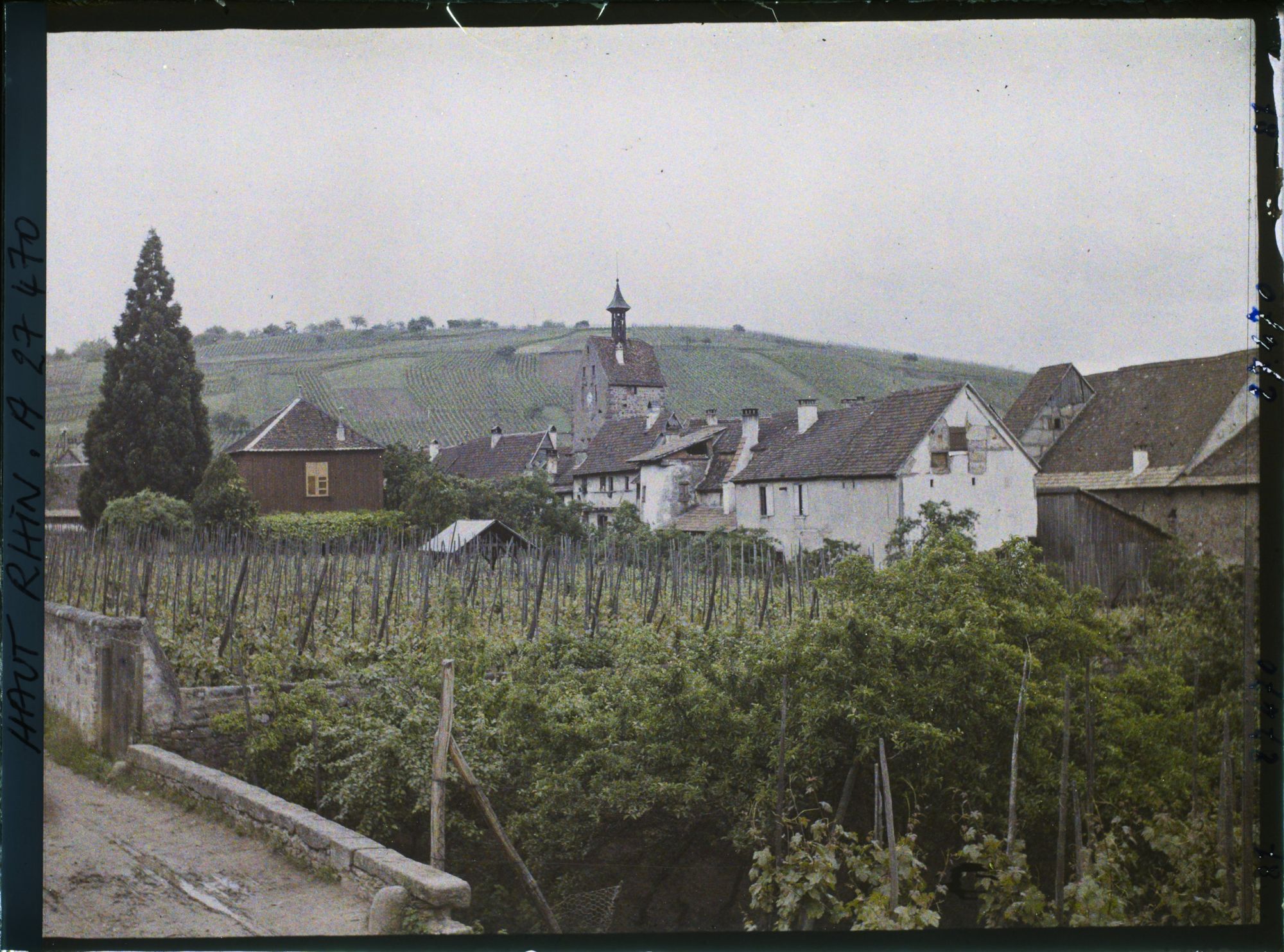 Image représentant France, Riquewihr, Vue d'ensemble sur les toits de Riquewihr