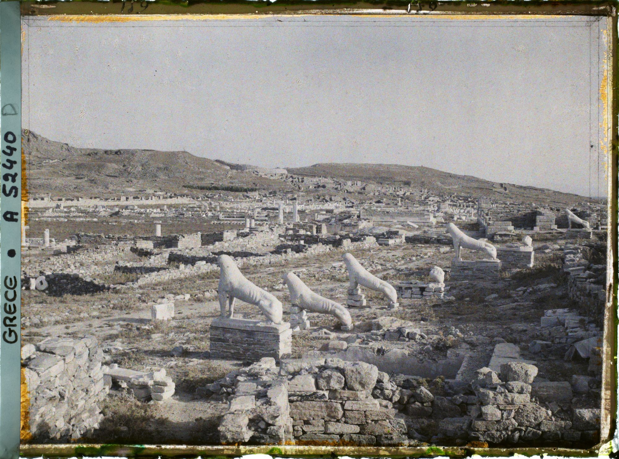 Image représentant La Terrasse des Lionnes