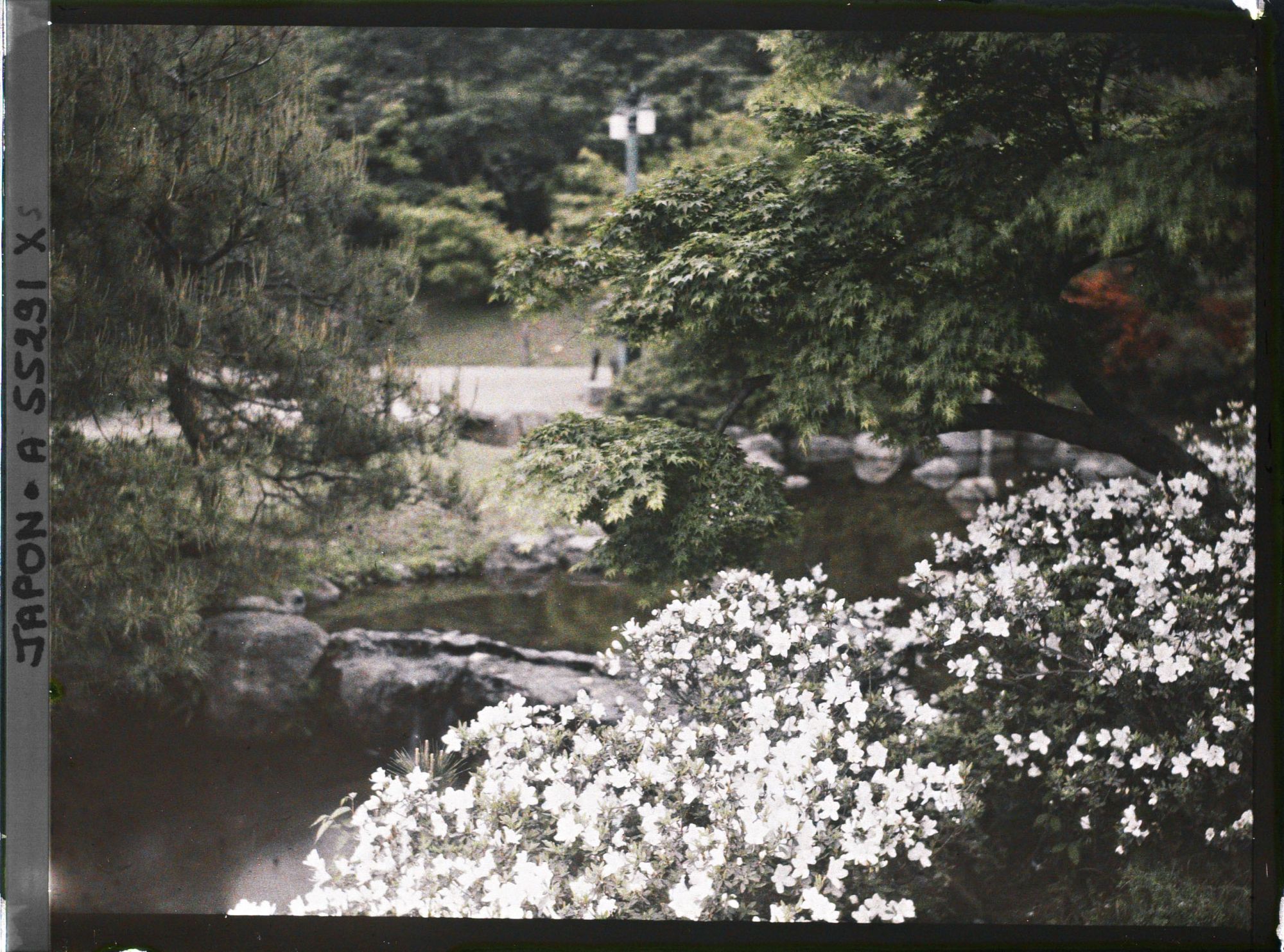 Image représentant Le parc Maruyama (Maruyama kôen)
