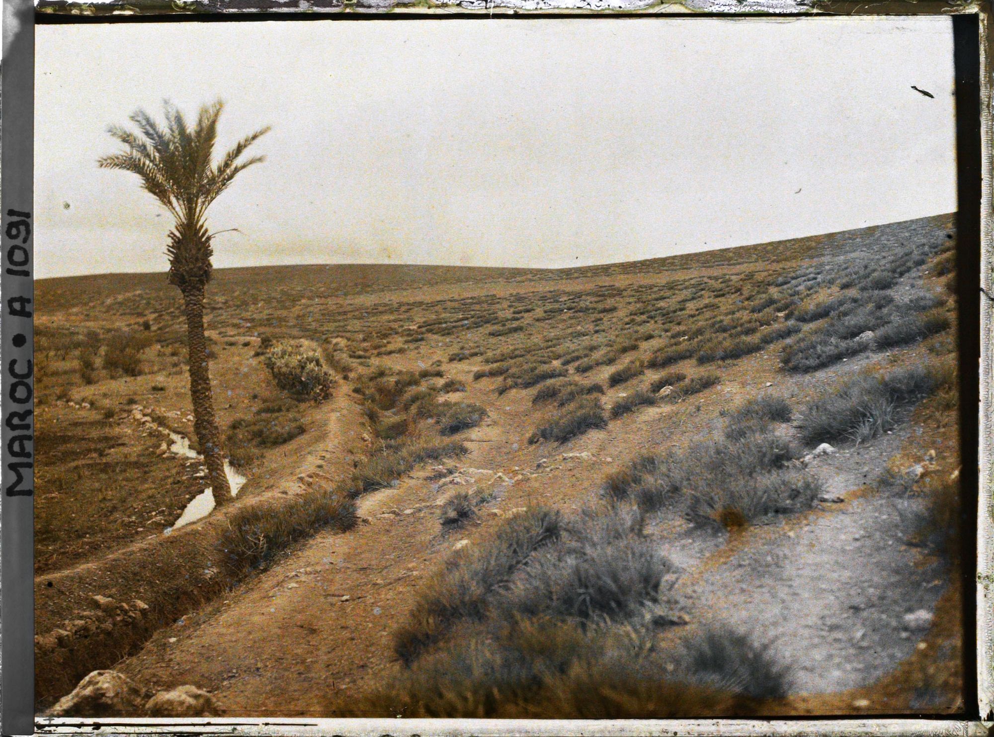 Image représentant Sur la route menant à Marrakech