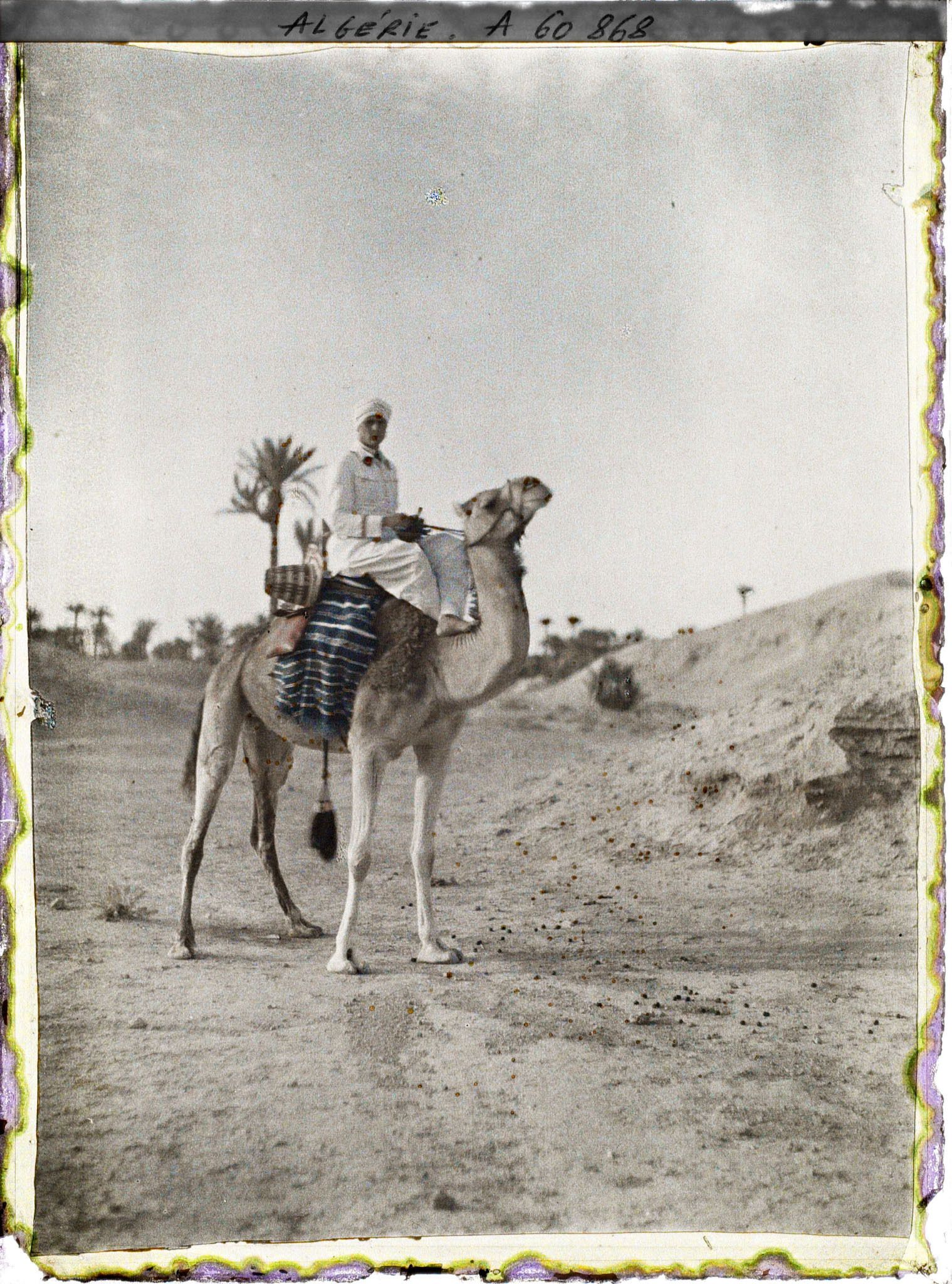 Image représentant Un officier méhariste sur sa monture