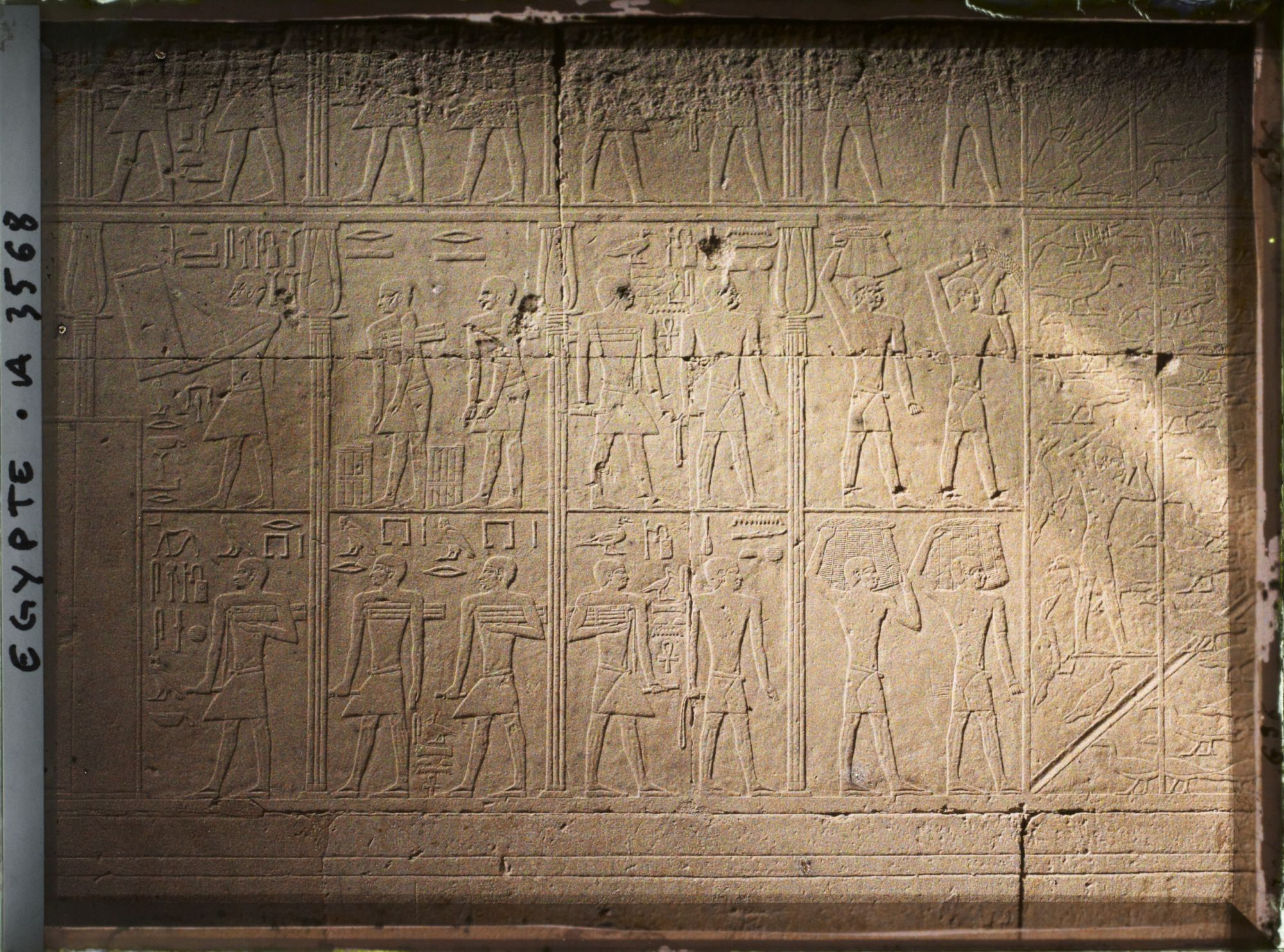 Image représentant Bas-reliefs représentant des scènes d'intendance dans le tombeau de Ty