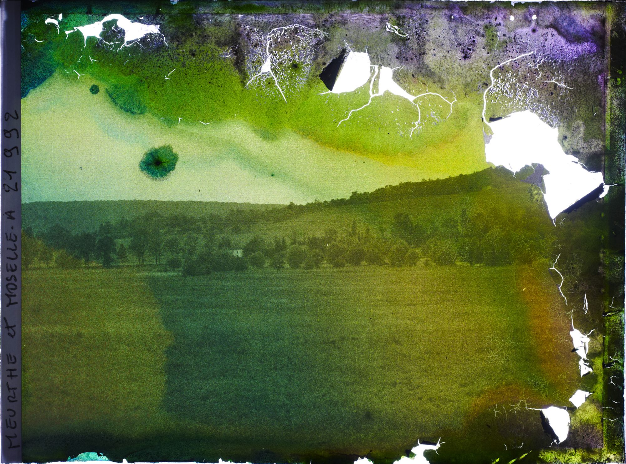 Image représentant France, Bois Le Prêtre, Le Bois le Prêtre et Champs ensemencés, au haut de Rieupt