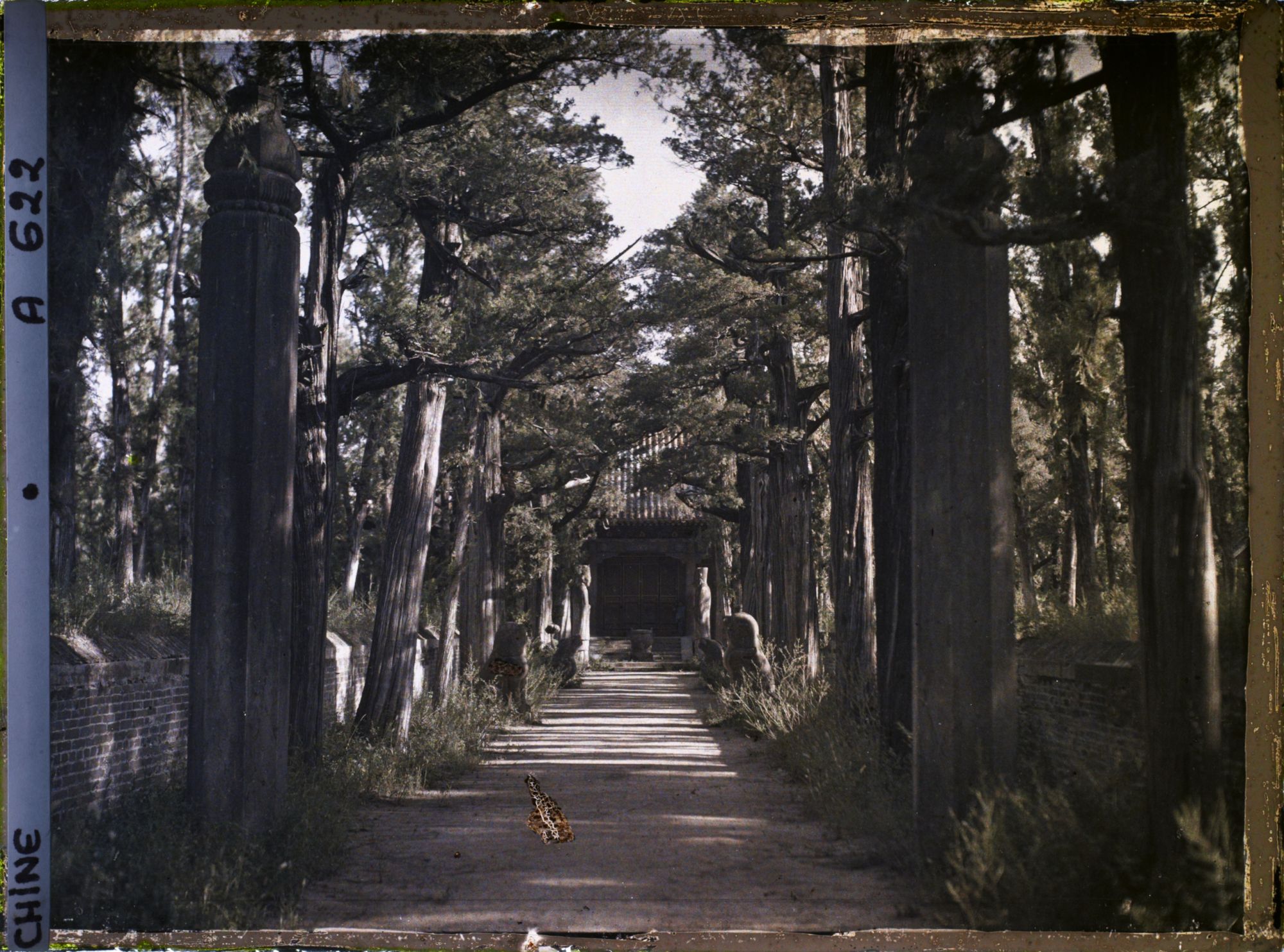Image représentant Konglin, la nécropole de la famille de Confucius
