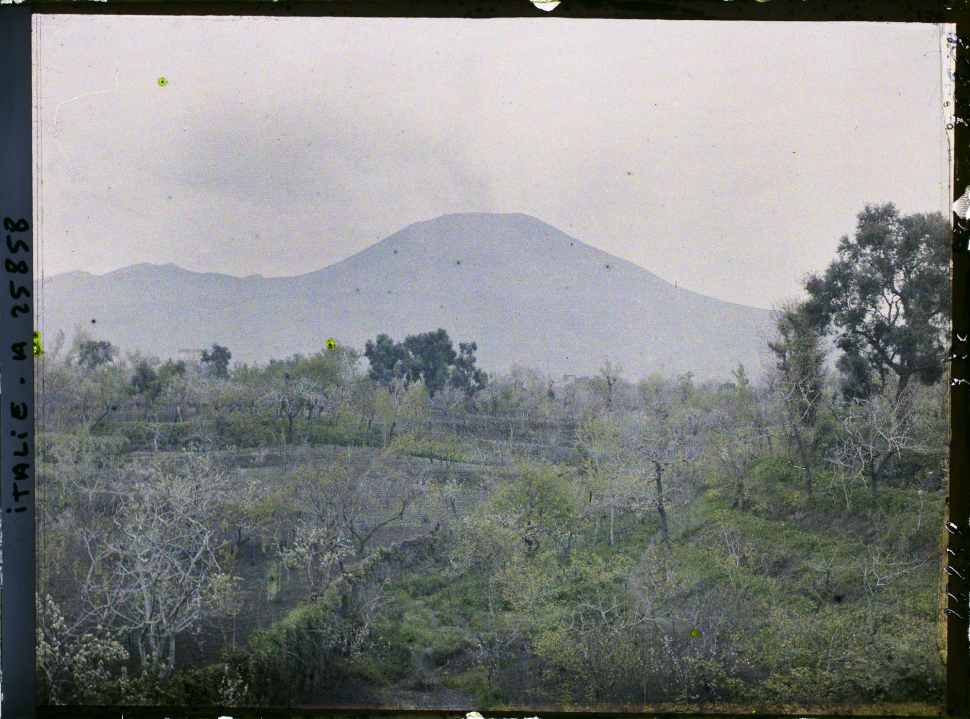 Image représentant Le Vésuve vu de Torre del Greco