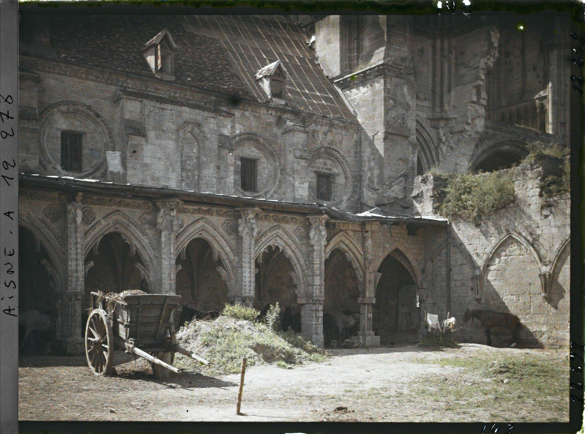 Image représentant Chevaux dans le cloître de l'ancienne abbaye Saint-Jean-des-Vignes