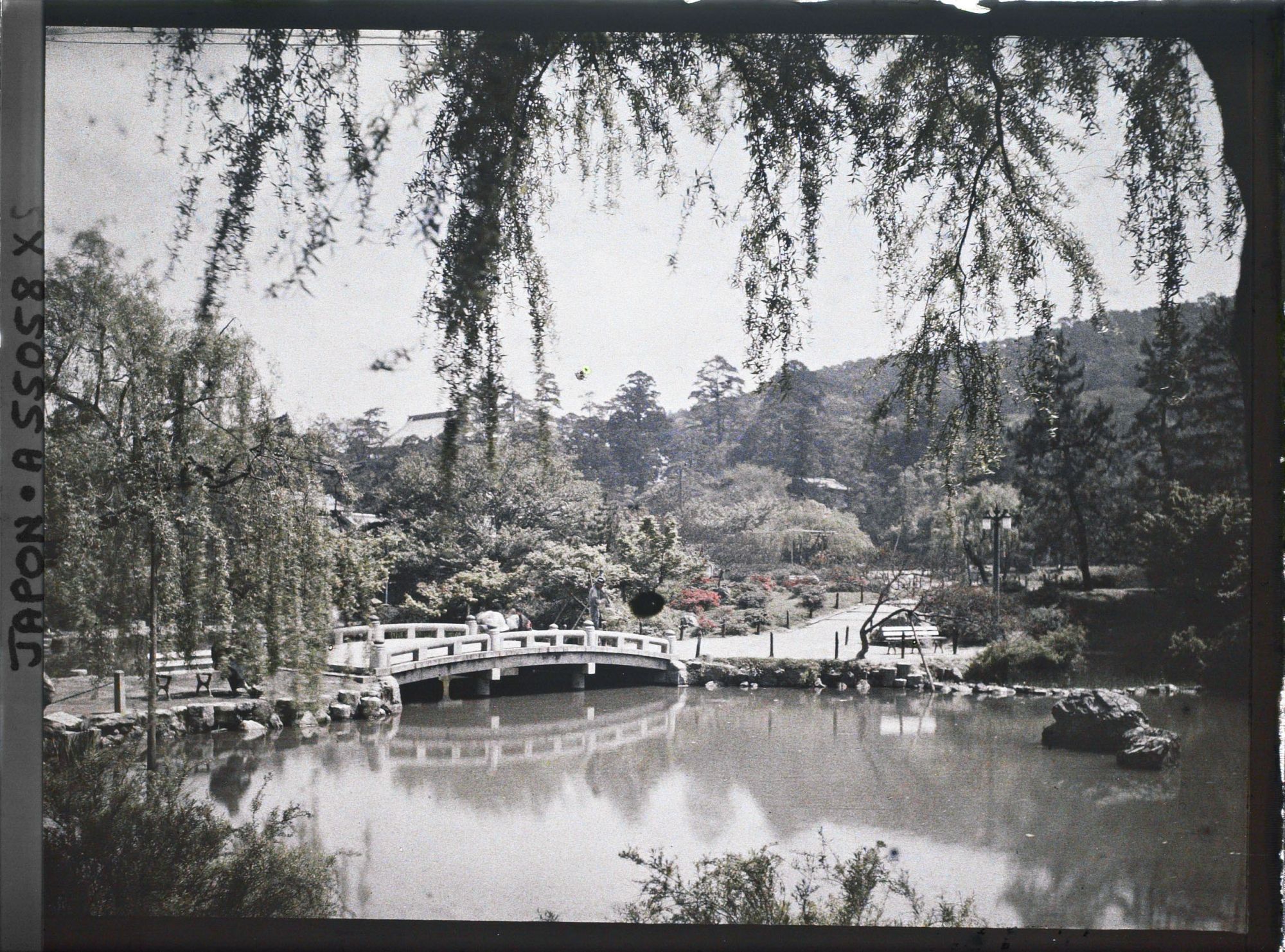 Image représentant Le parc Maruyama (Maruyama kôen)