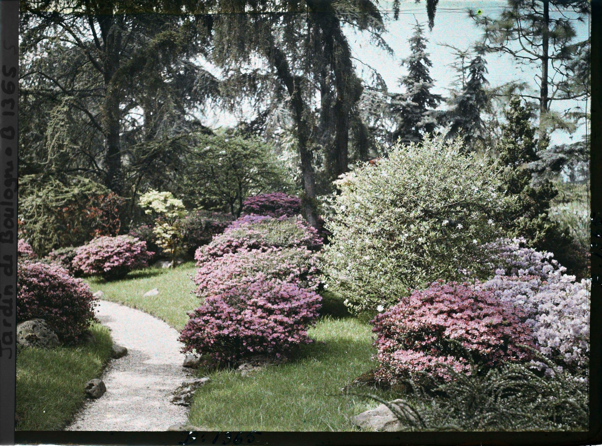 Image représentant Chemin du " sanctuaire japonais " bordé d'érables et d'azalées, à la sortie du " village japonais "