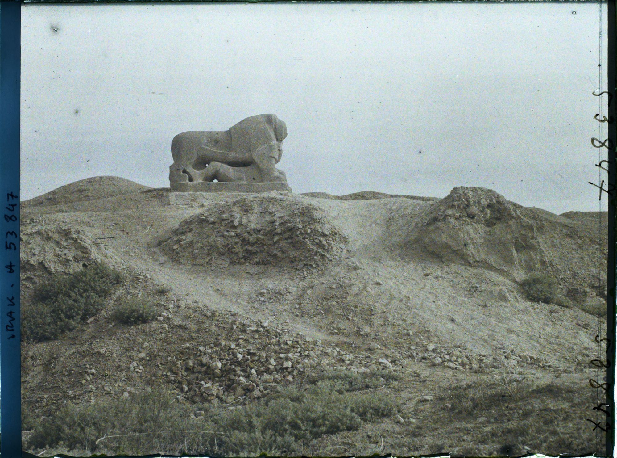 Image représentant Le lion, masse de basalte probablement un trophée, de provenance inconnue