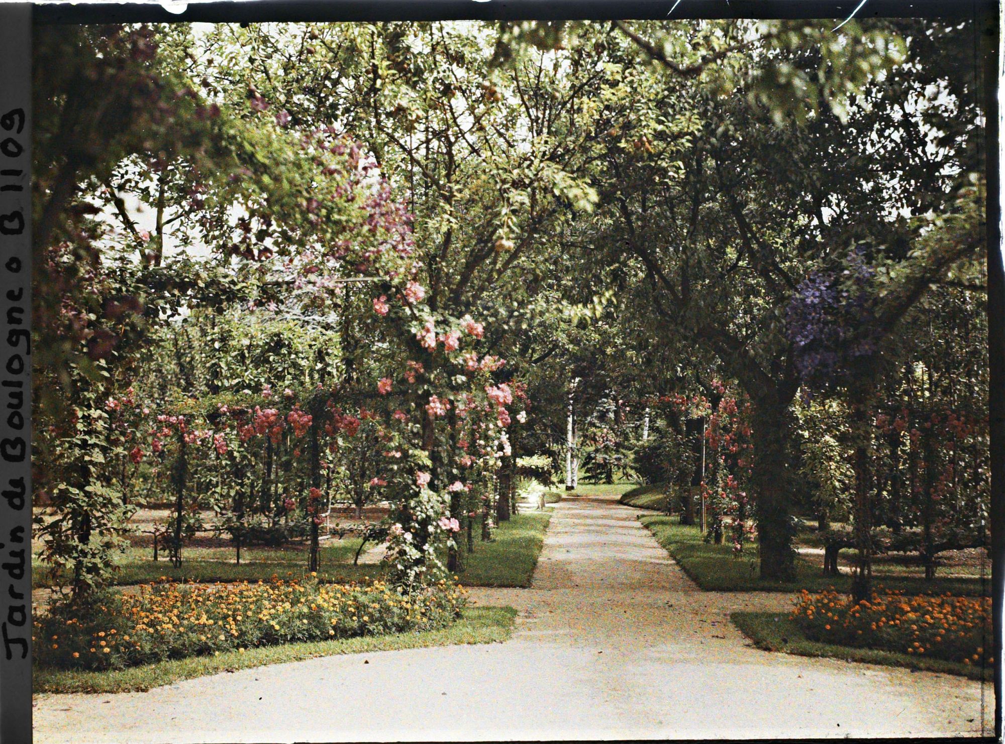 Image représentant Allée du verger-roseraie située entre le rond-point proche du jardin français et la forêt bleue