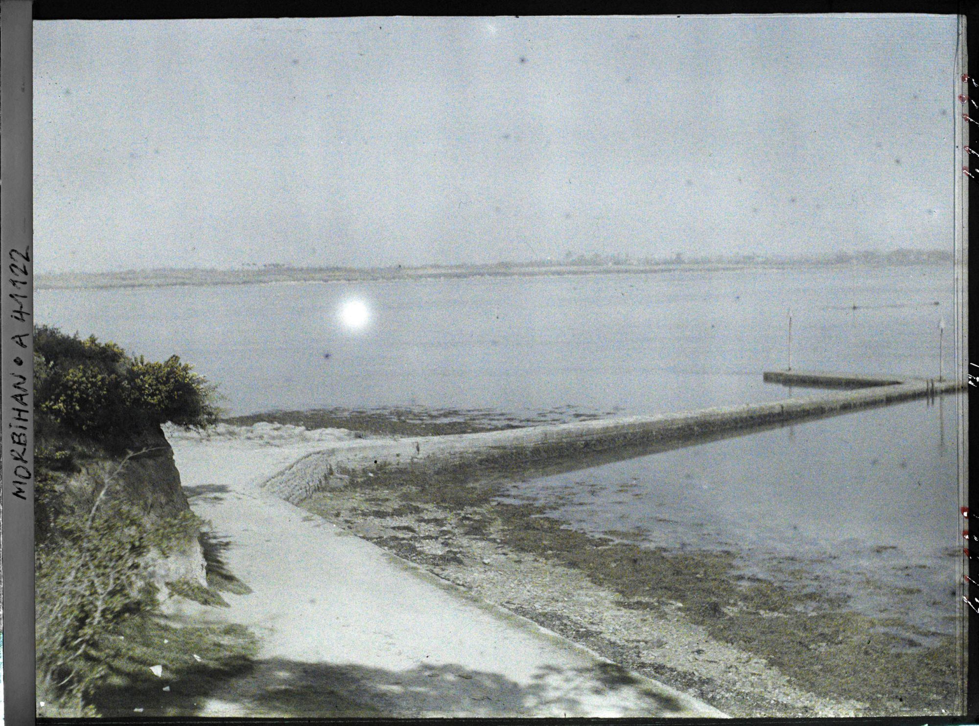 Image représentant Des varechs de part et d'autre de la jetée ; à gauche, des pieds d'ajoncs