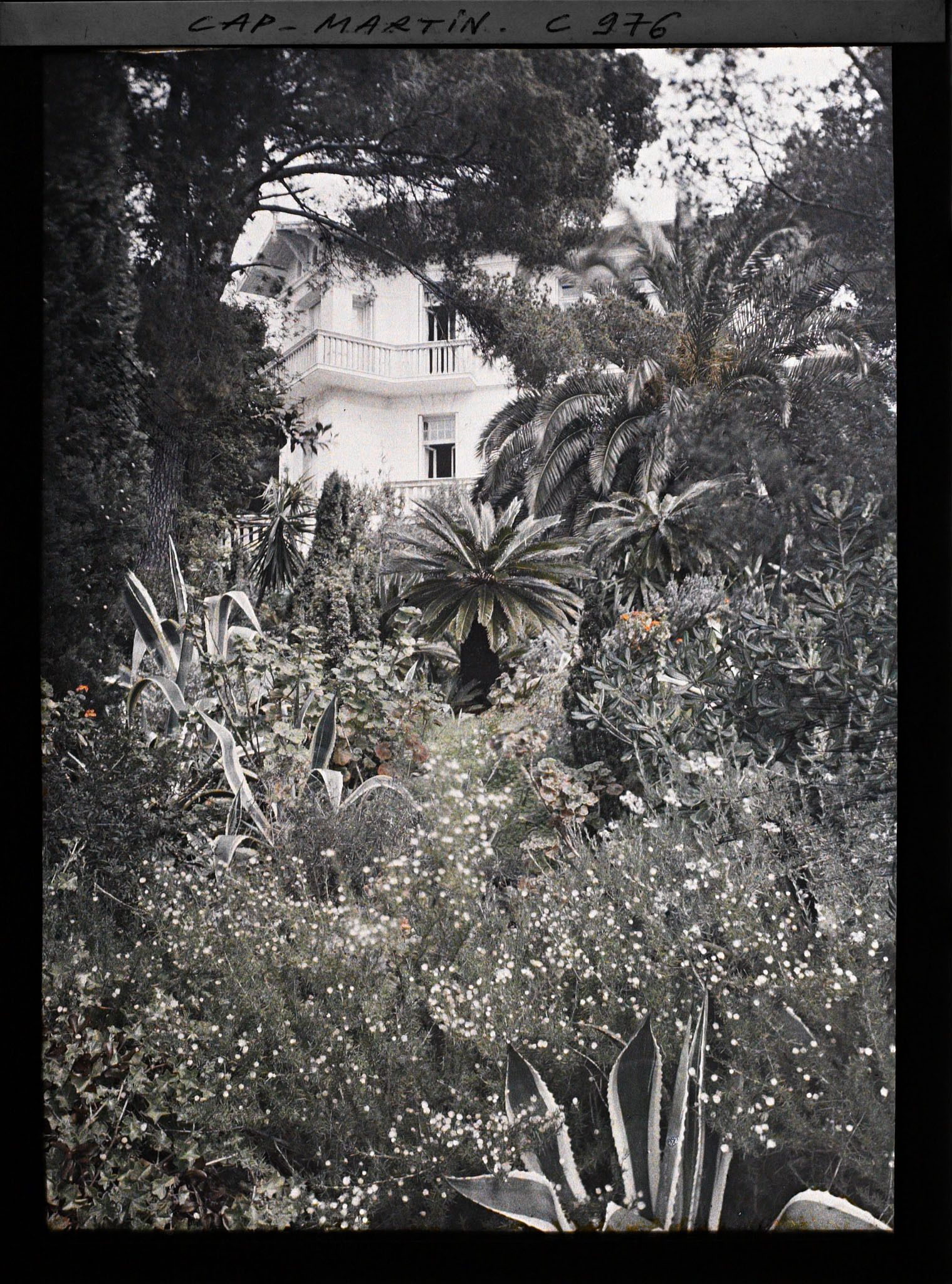 Image représentant La villa Dunure