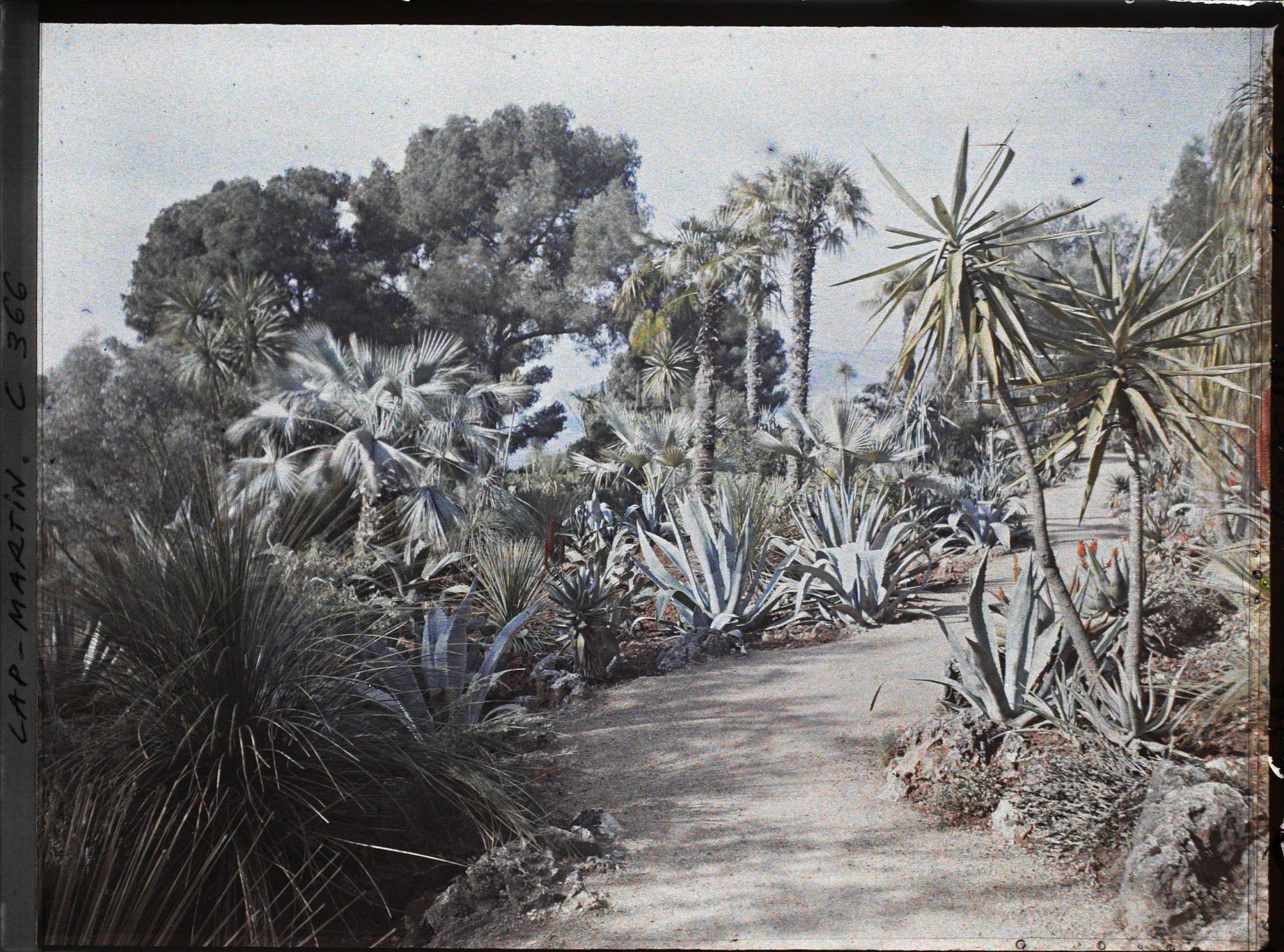 Image représentant Une allée du jardin