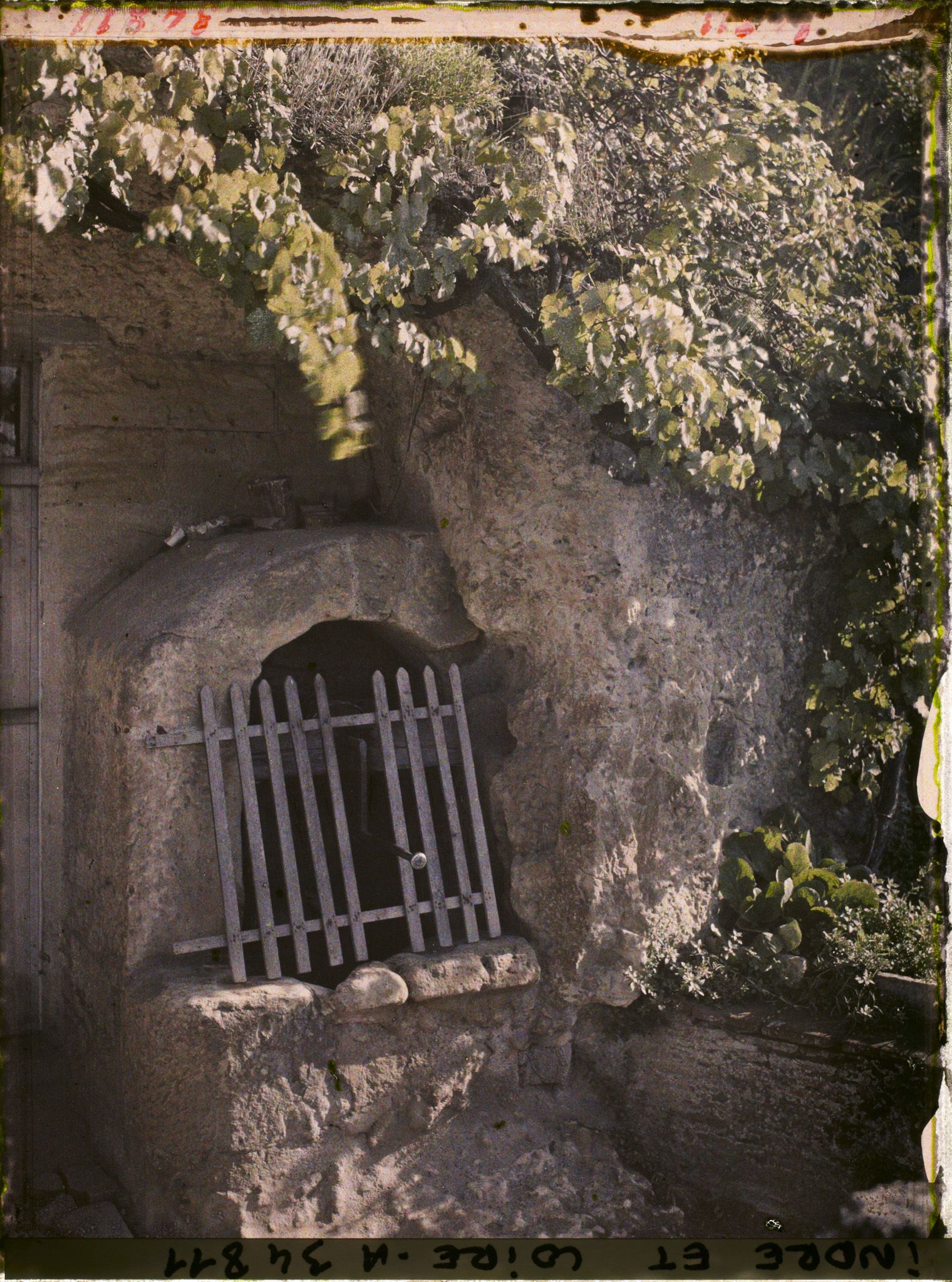 Image représentant Le puits creusé dans le roc d'une maison troglodyte du Petit Coteau