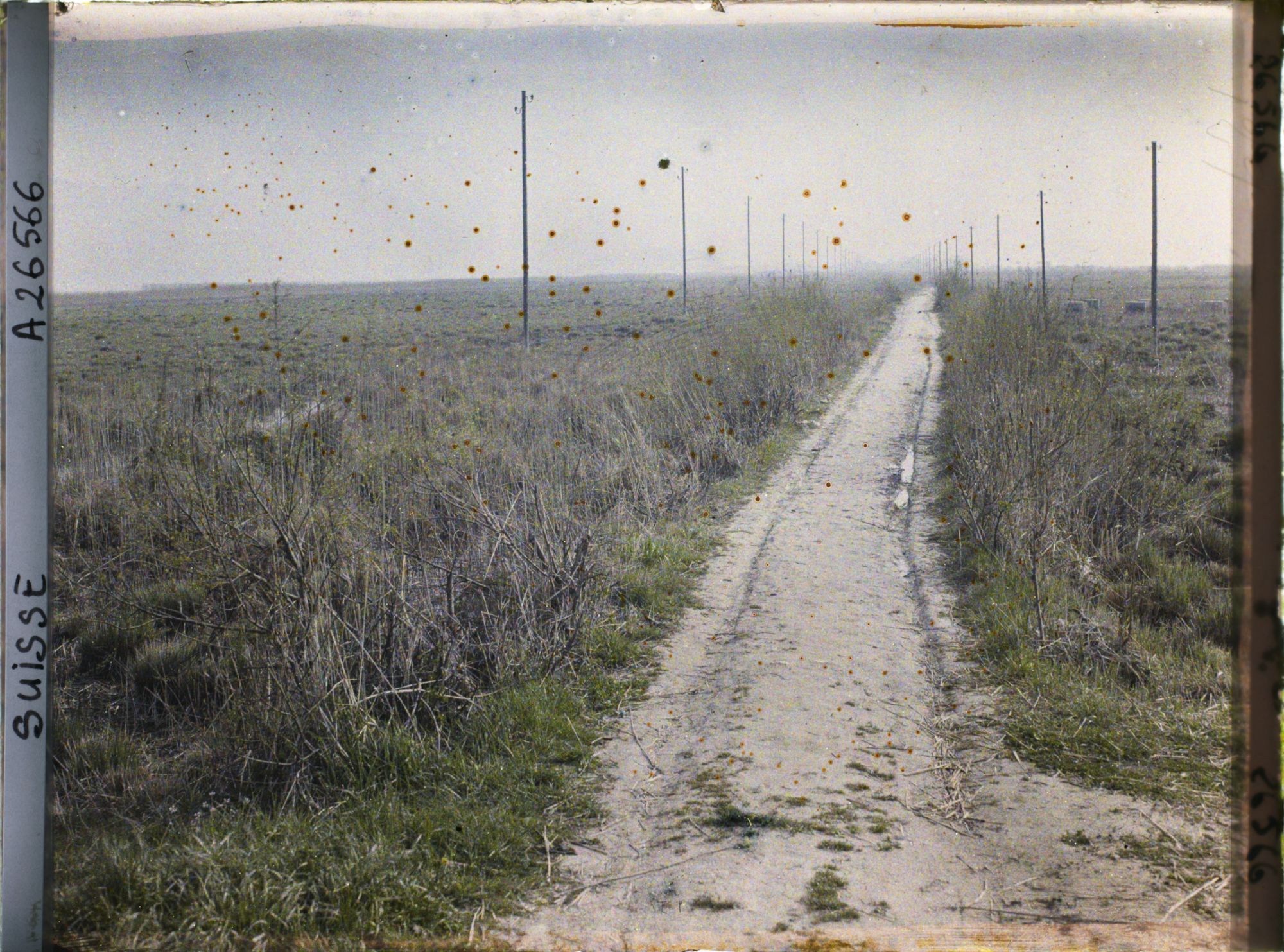 Image représentant La route de l'île Saint-Pierre
