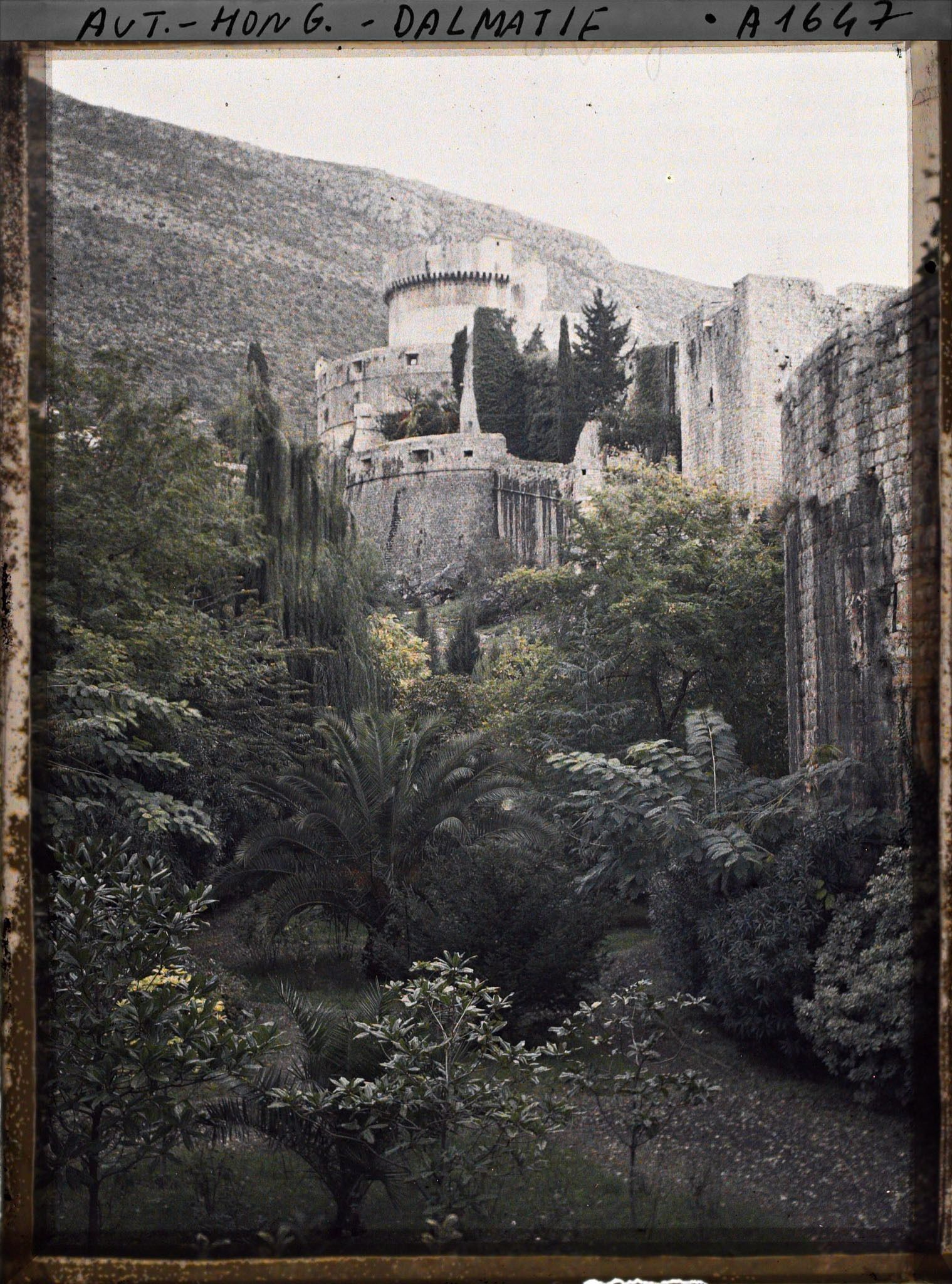 Image représentant Fossé des fortifications de Raguse