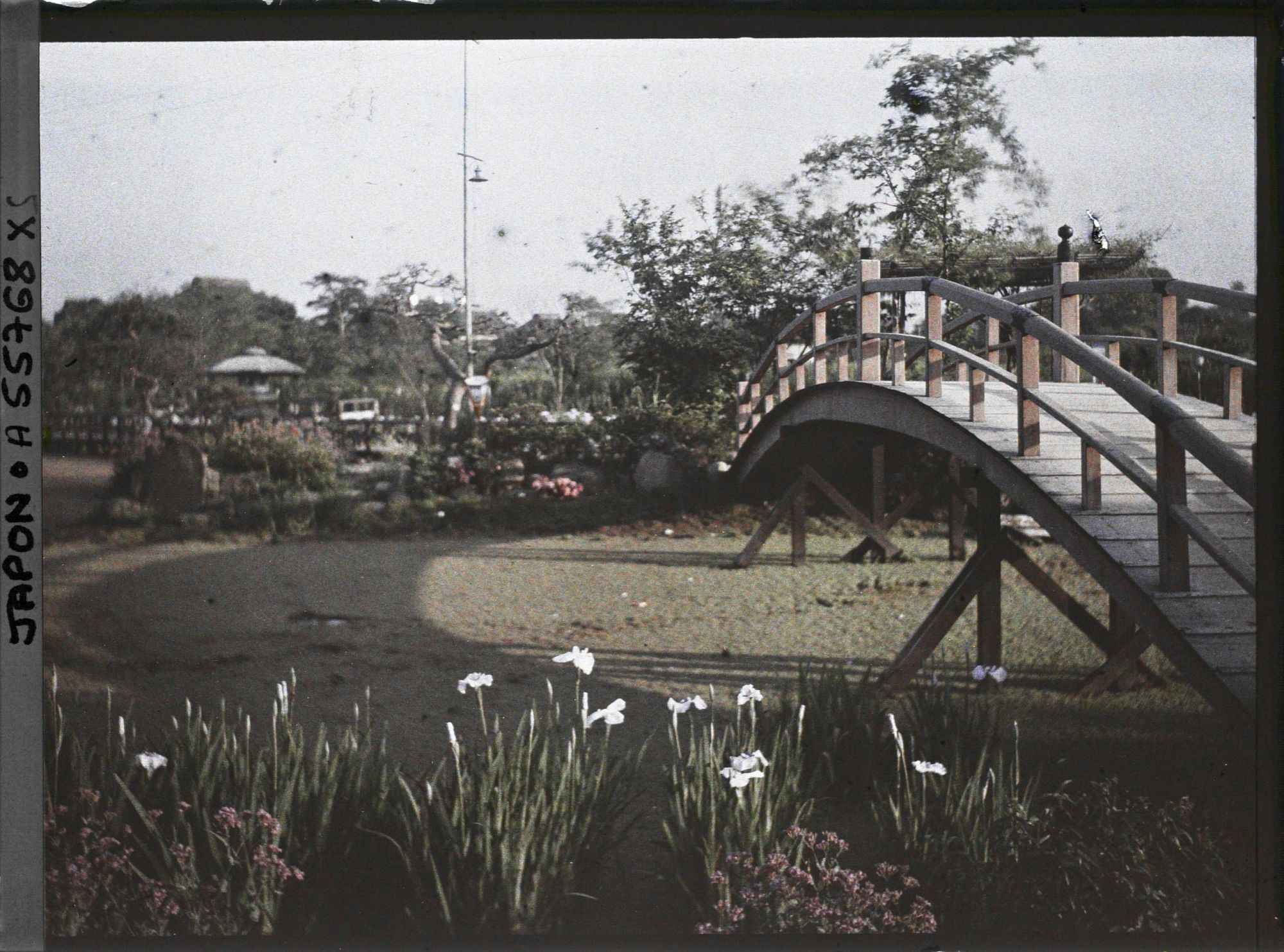 Image représentant Jardin d'iris de Horikiri