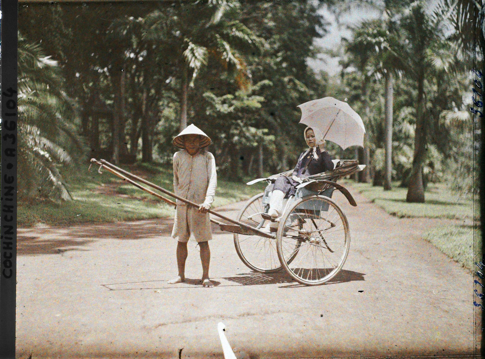 Image représentant Jeune femme dans un pousse-pousse à roues caoutchoutées, dans le jardin botanique