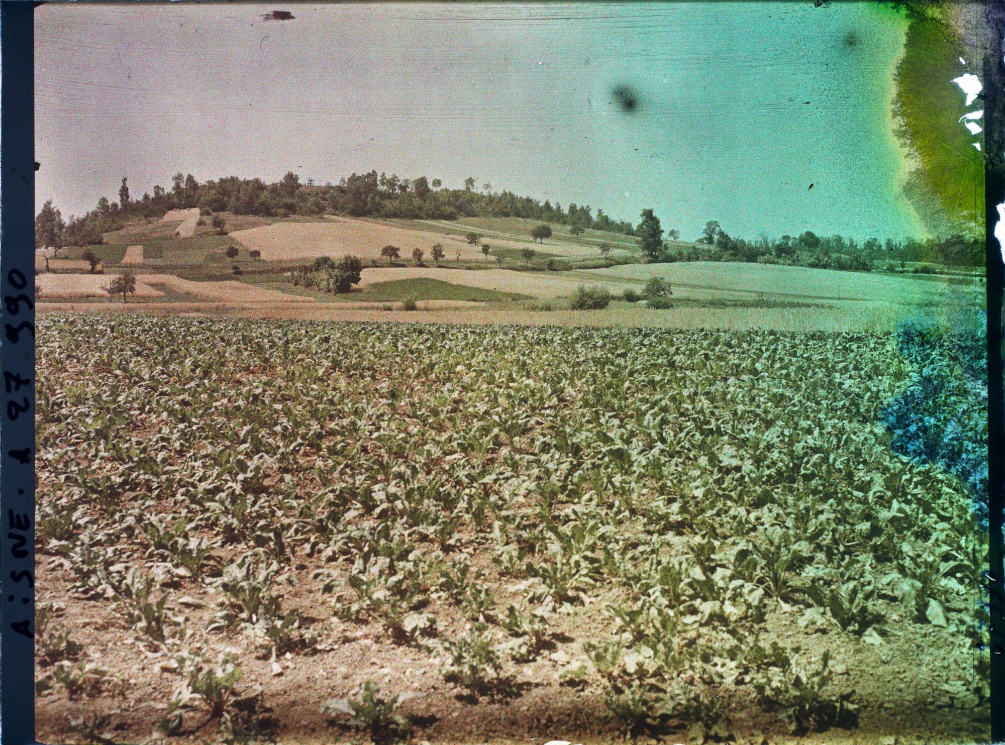 Image représentant France, Cery-Salsogne, Aspect de la Campagne vers les Coteaux de Céry