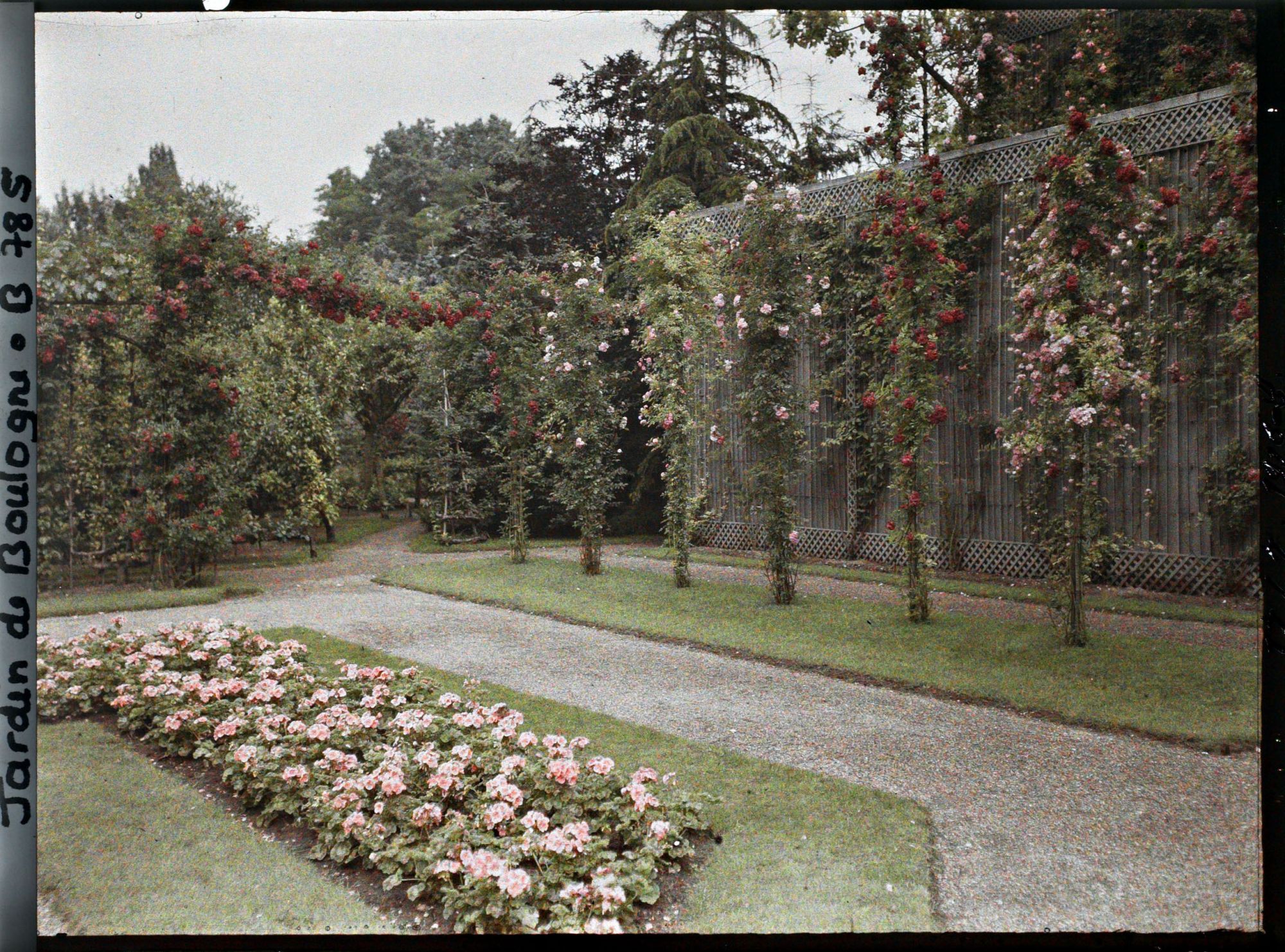 Image représentant Angle nord-ouest du jardin français, vu en direction du verger roseraie et de la forêt bleue
